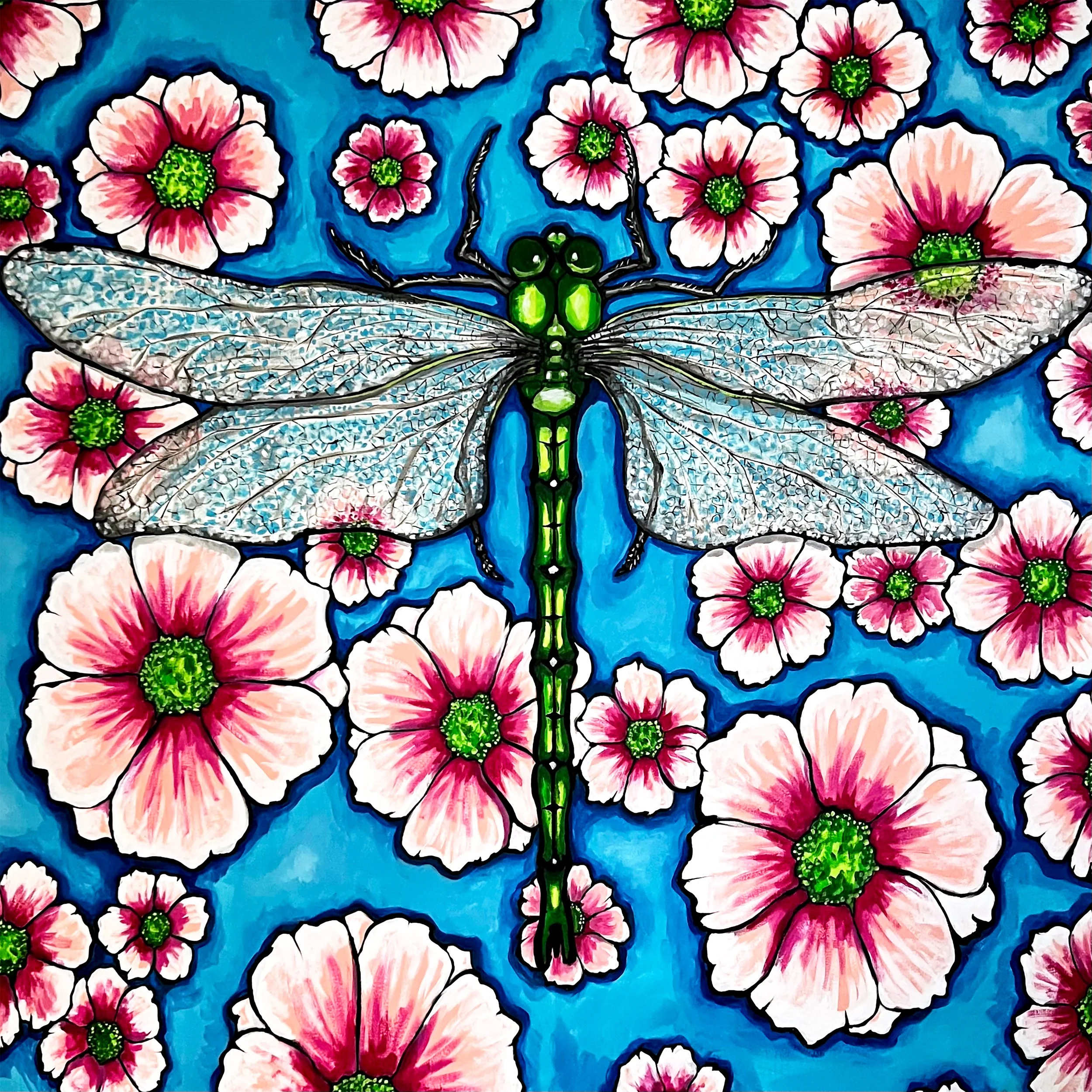 bb dragonfly on cosmos 2.JPG