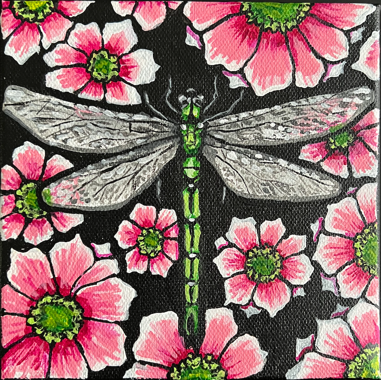 bb dragonfly on cosmos.png