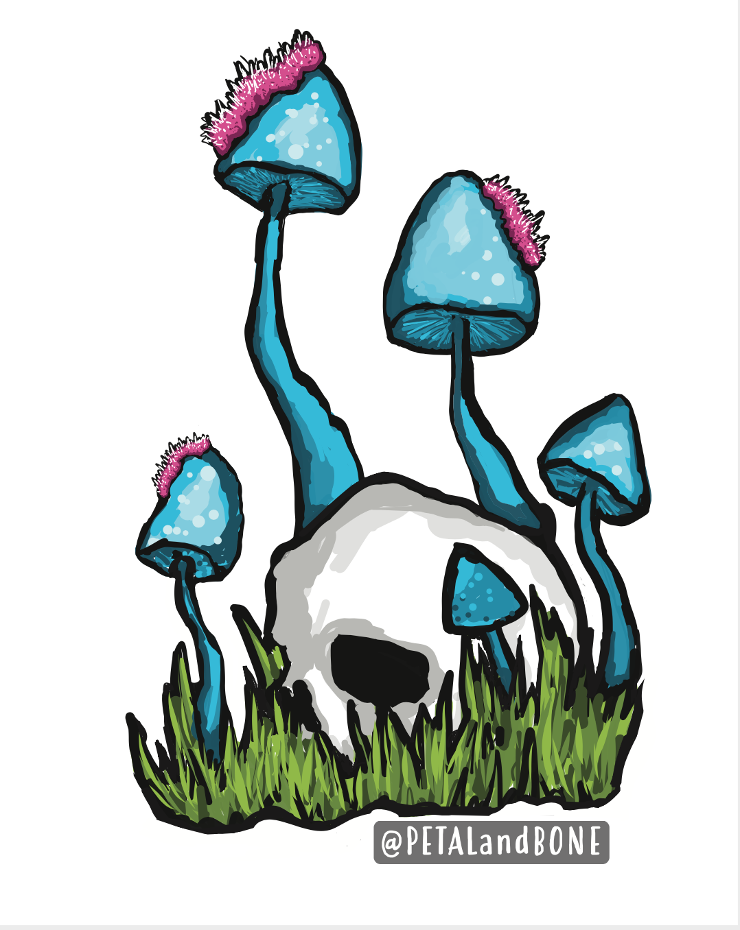 skull, mushrooms, caterpillars.png
