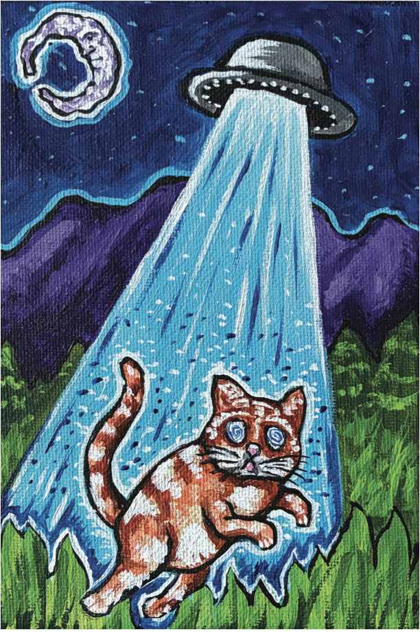 tabby relocation.png