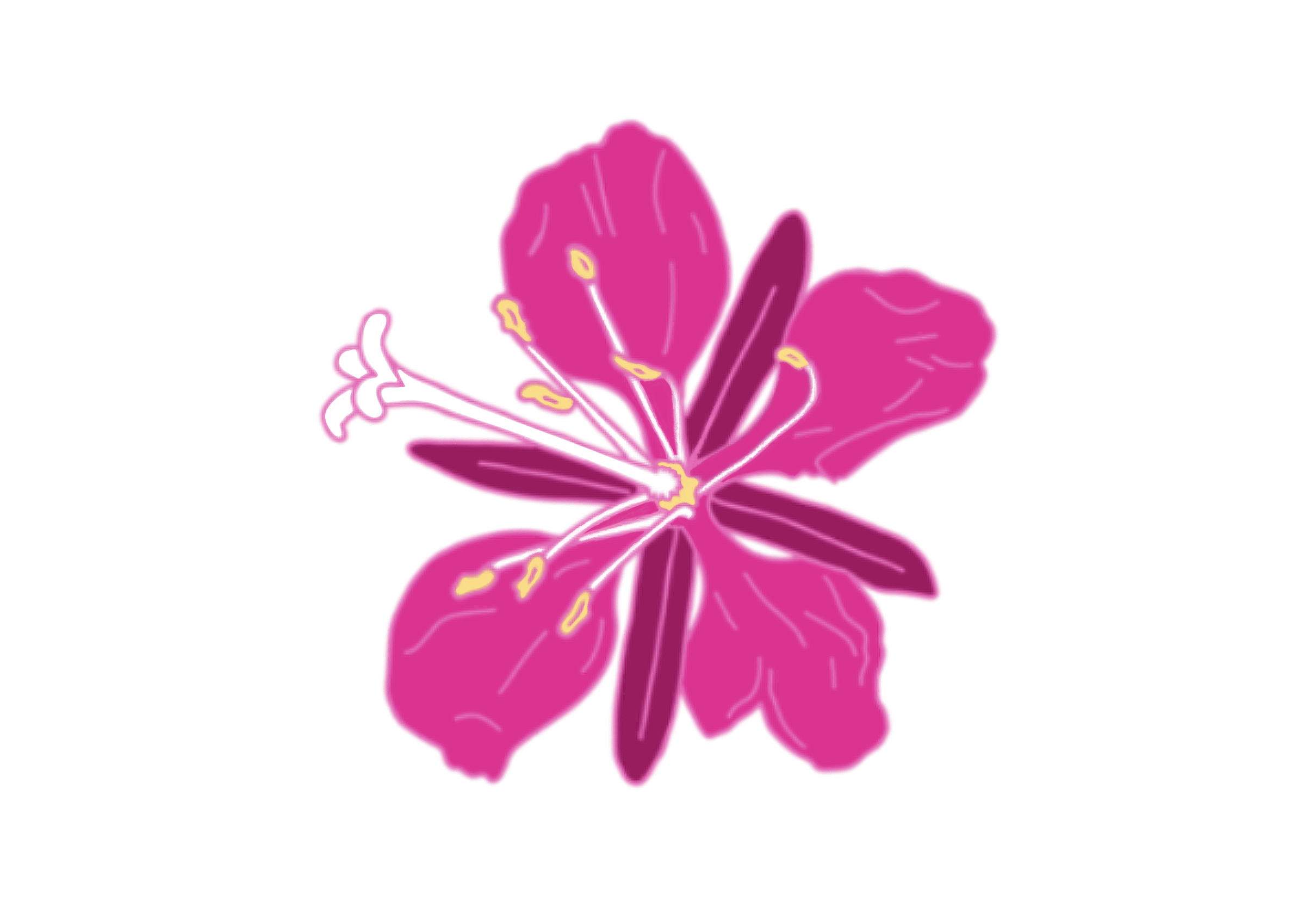 Fireweed_Flower.png