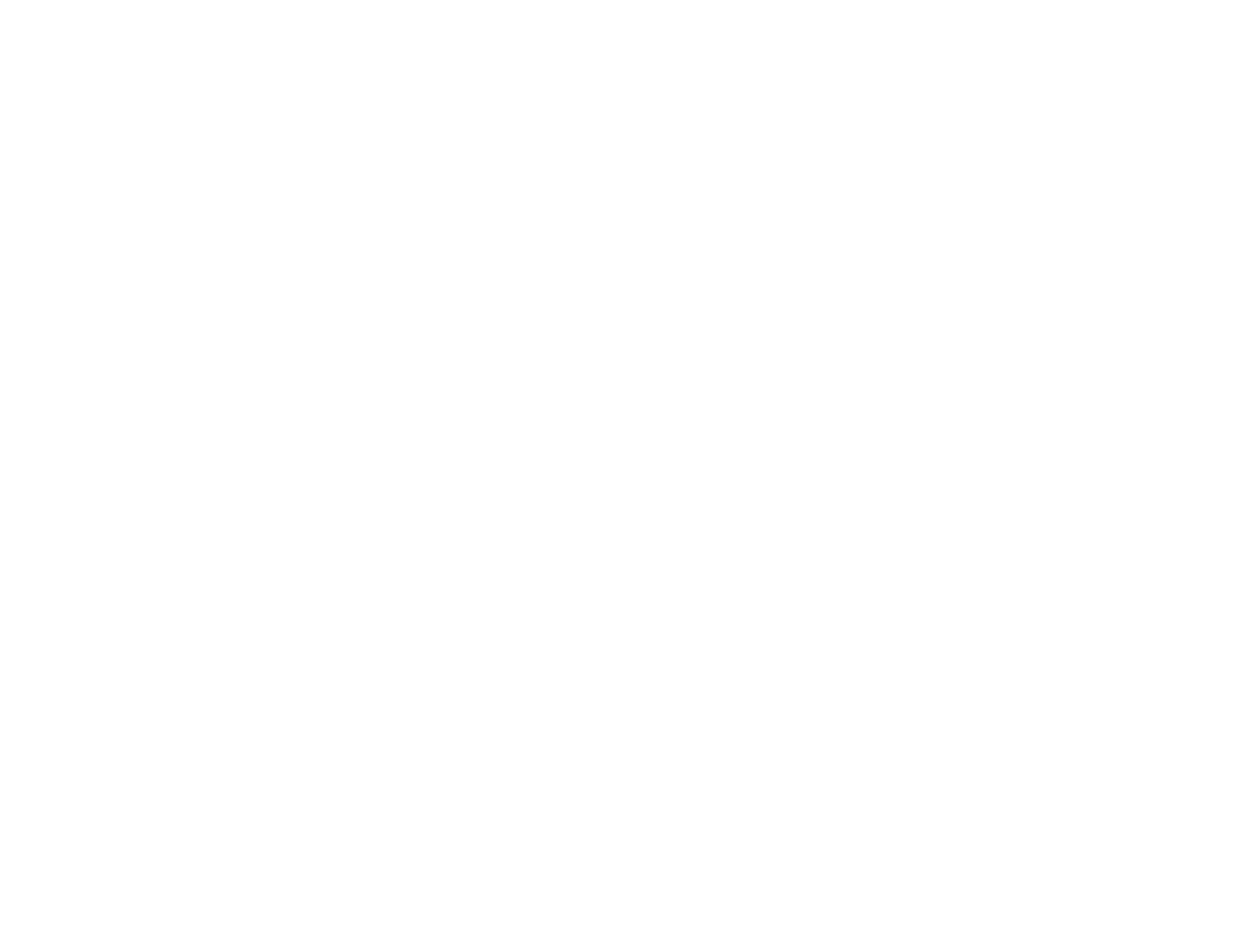 VL_LOGO_BLANC.png