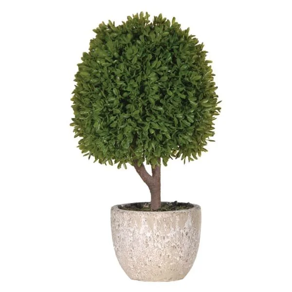 miniboxwood.jpg