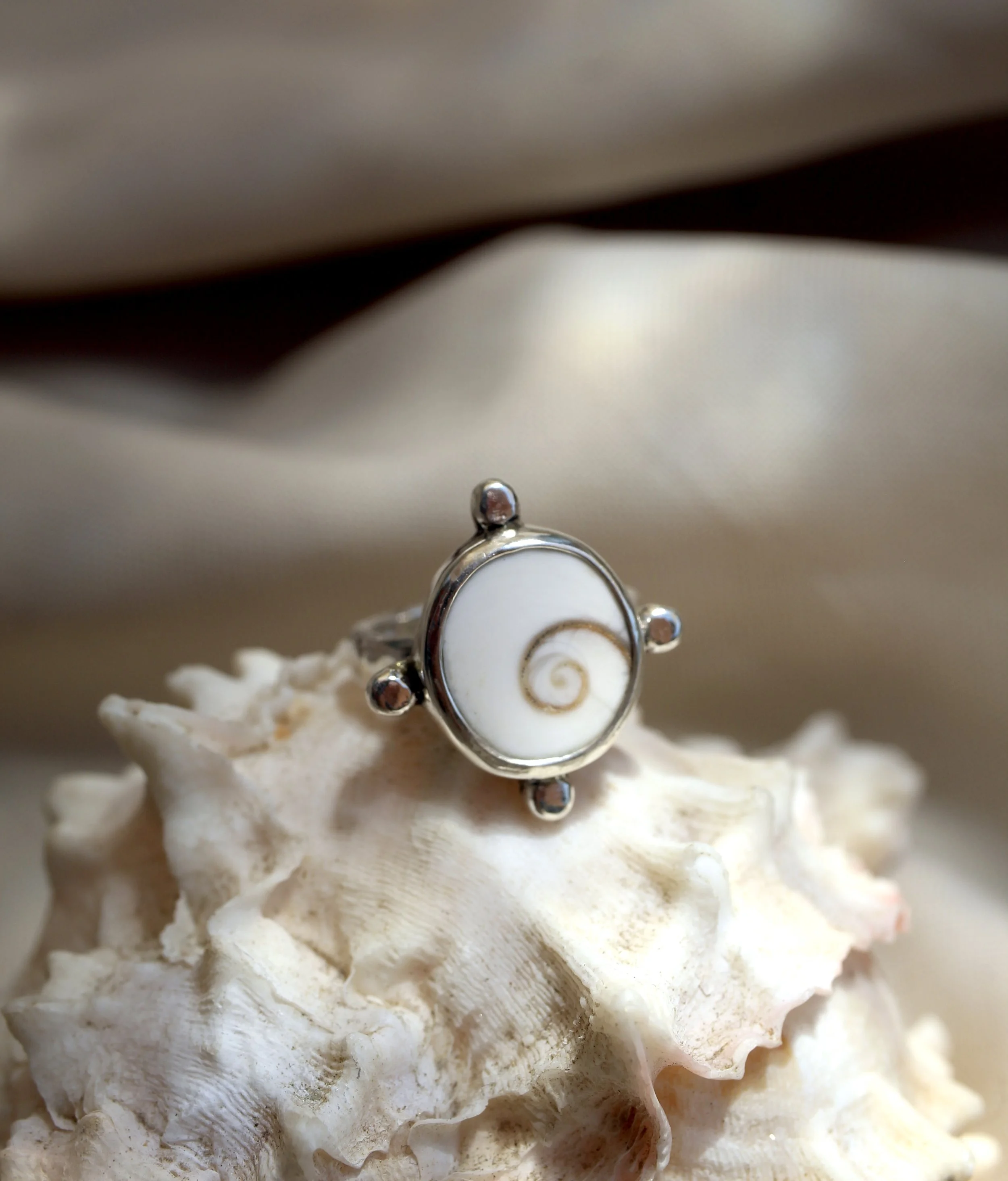 Shiva Shell Compass Ring