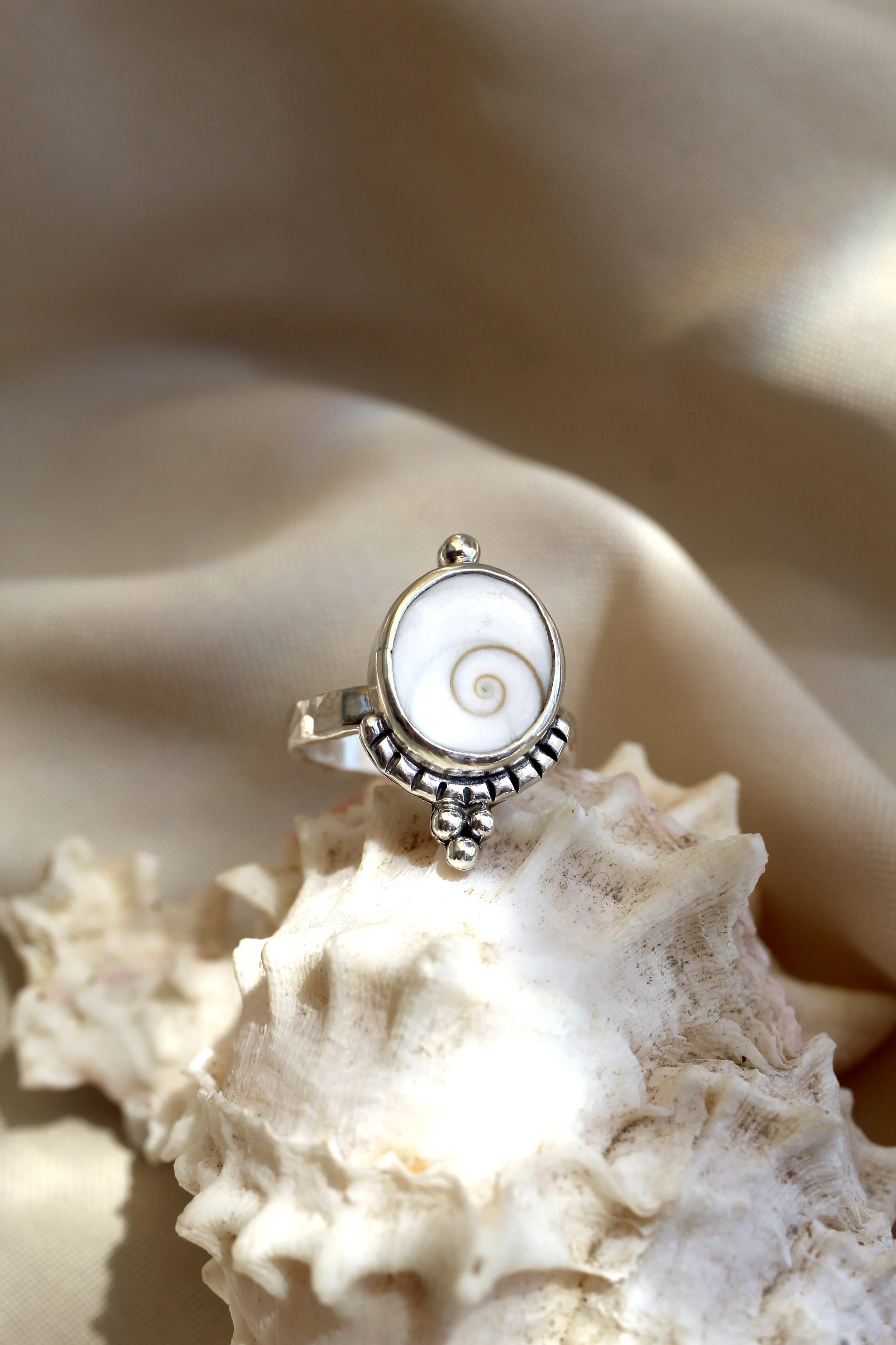 Ancient Soul Shiva Shell