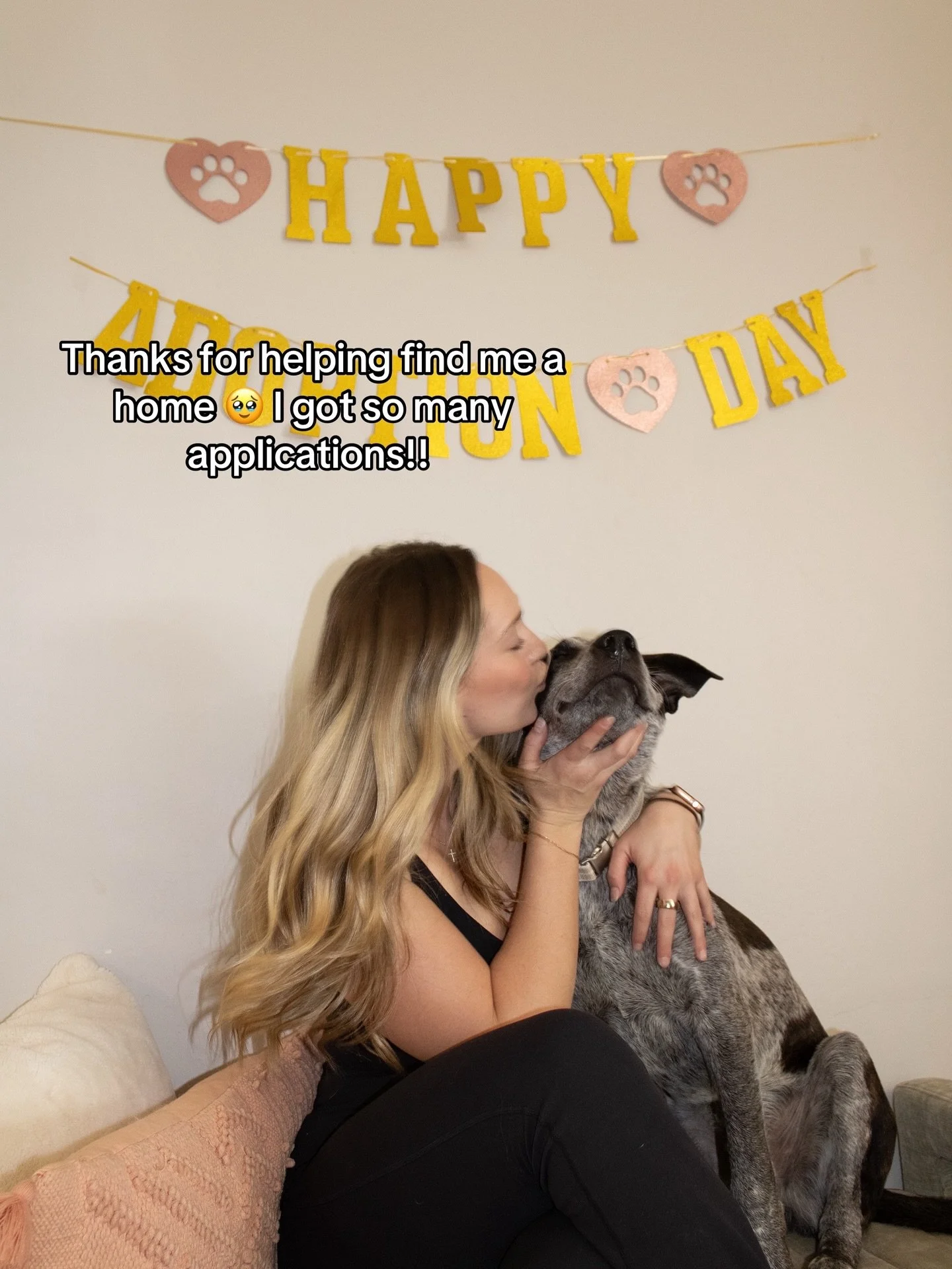 I&rsquo;m SO happy that Milo got so much interest and so many applications!! You sharing the videos of him helped his mom find him and that&rsquo;s so special!! 

But the rescue I volunteer with, @westernaussierescue , still has so many other dogs in