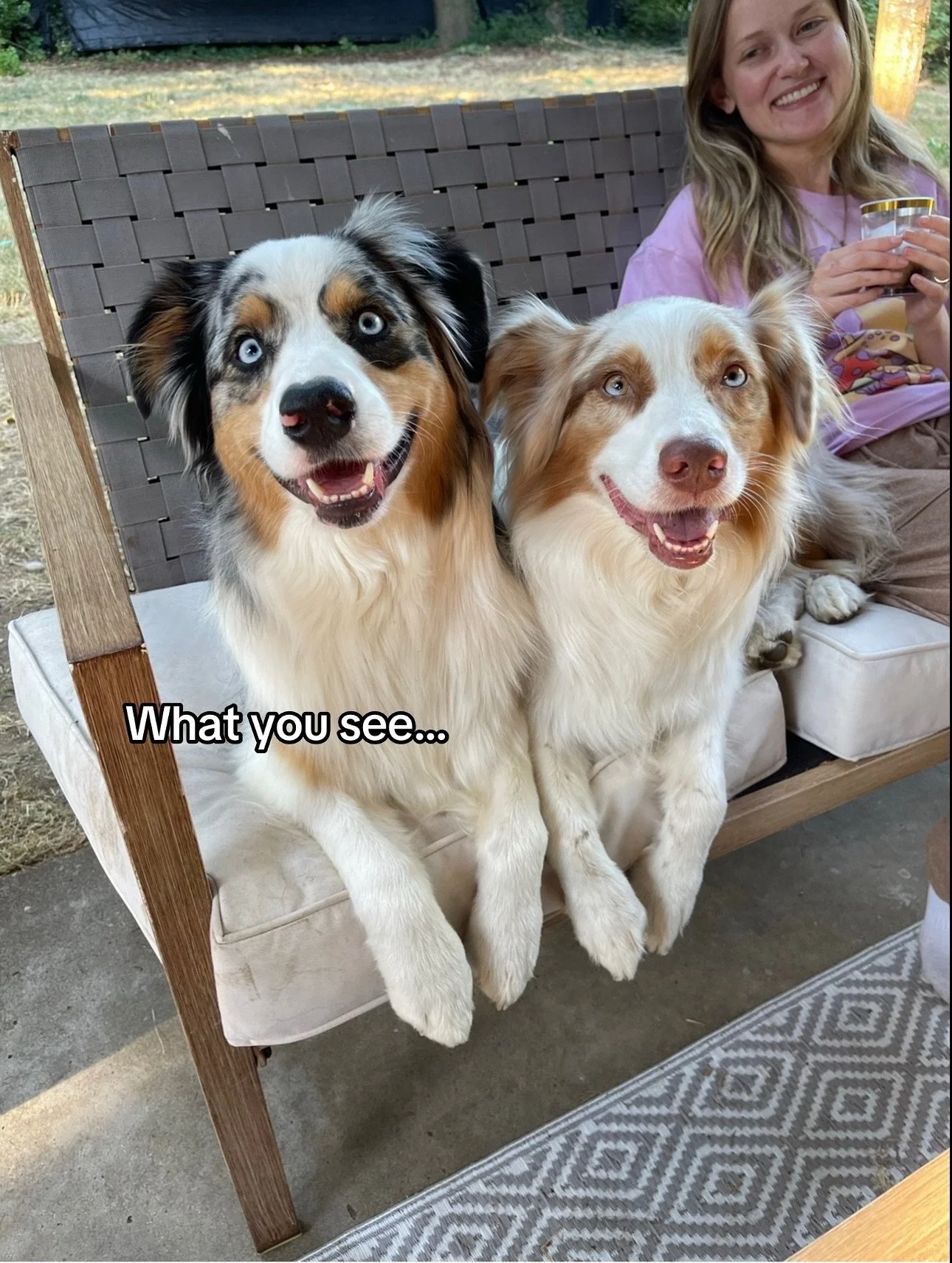 I now understand what my parents mean when they say they look at me and still see a three year old 😭

Inspo by @murphythelady !!! 

#australianshepherdpuppy #dogmomlife #bluemerle #redmerleaussie