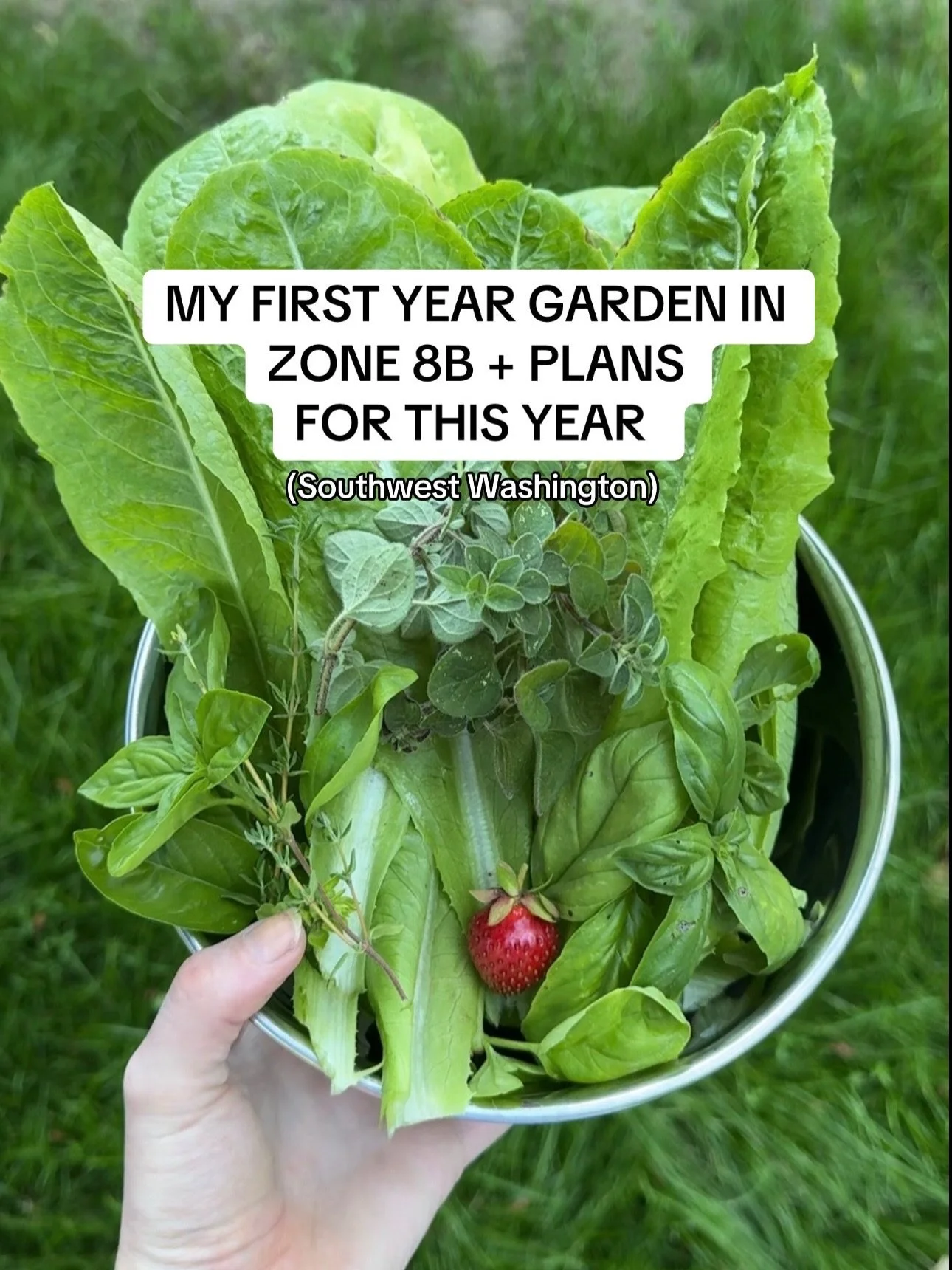 Our first garden + plans for this year 🪏🪴 Any professionals out there pls give me tips!! I know we&rsquo;re approaching seed starting time and some people keep them inside so what should I start with!! 

Also need to research how to &ldquo;restart&