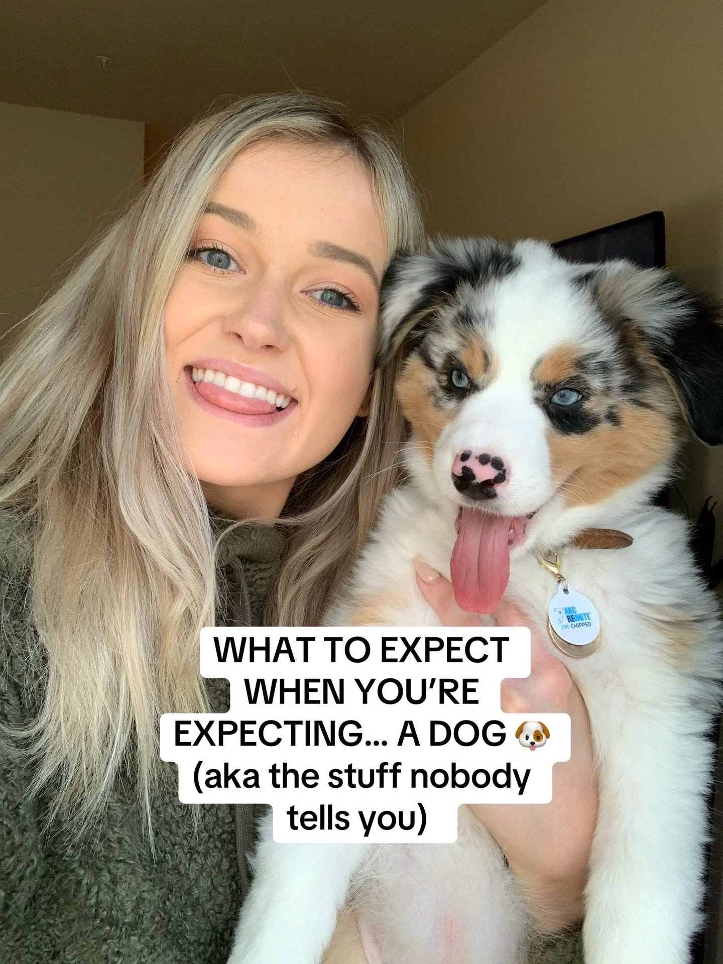 Thinking about getting a new pet? Be prepared for the blues!! 

When preparing for a dog I think people are overall pretty good about thinking of the practical stuff. Like if they can afford the puppy shots at the vet or 6 weeks of Petco training. Bu