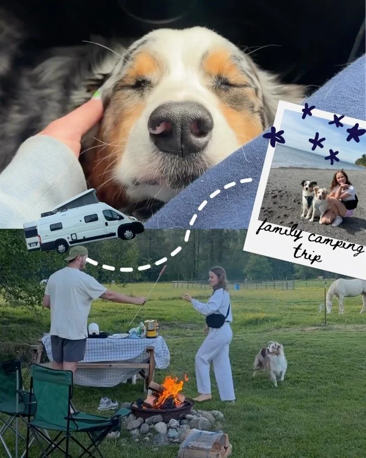 My new favorite family trip we&rsquo;ve ever taken!! 😭🌲🐾 had to make a lil digital scrapbook to remember forever 

If you also wanna live the van life without actually purchasing one, @outdoorsy gave me a code so you guys can get 10% off your rv r