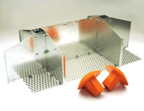 Complete Double Base In-Ground Fixture Package