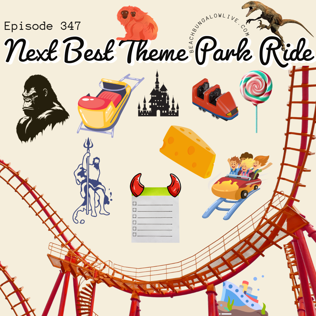 347: The Next Great Theme Park Ride