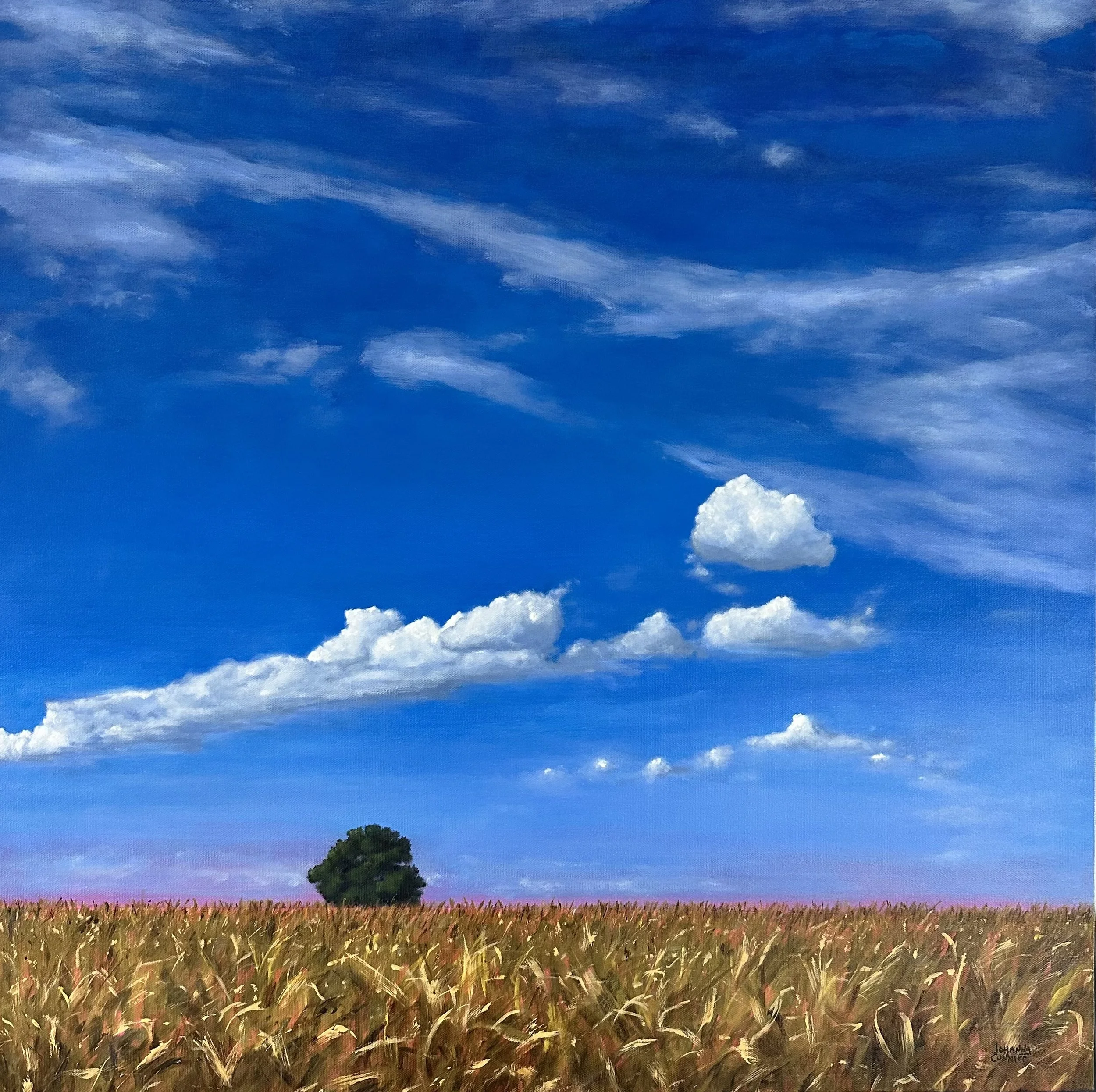 "Cornfields and Clouds" (30"x30") on Canvas