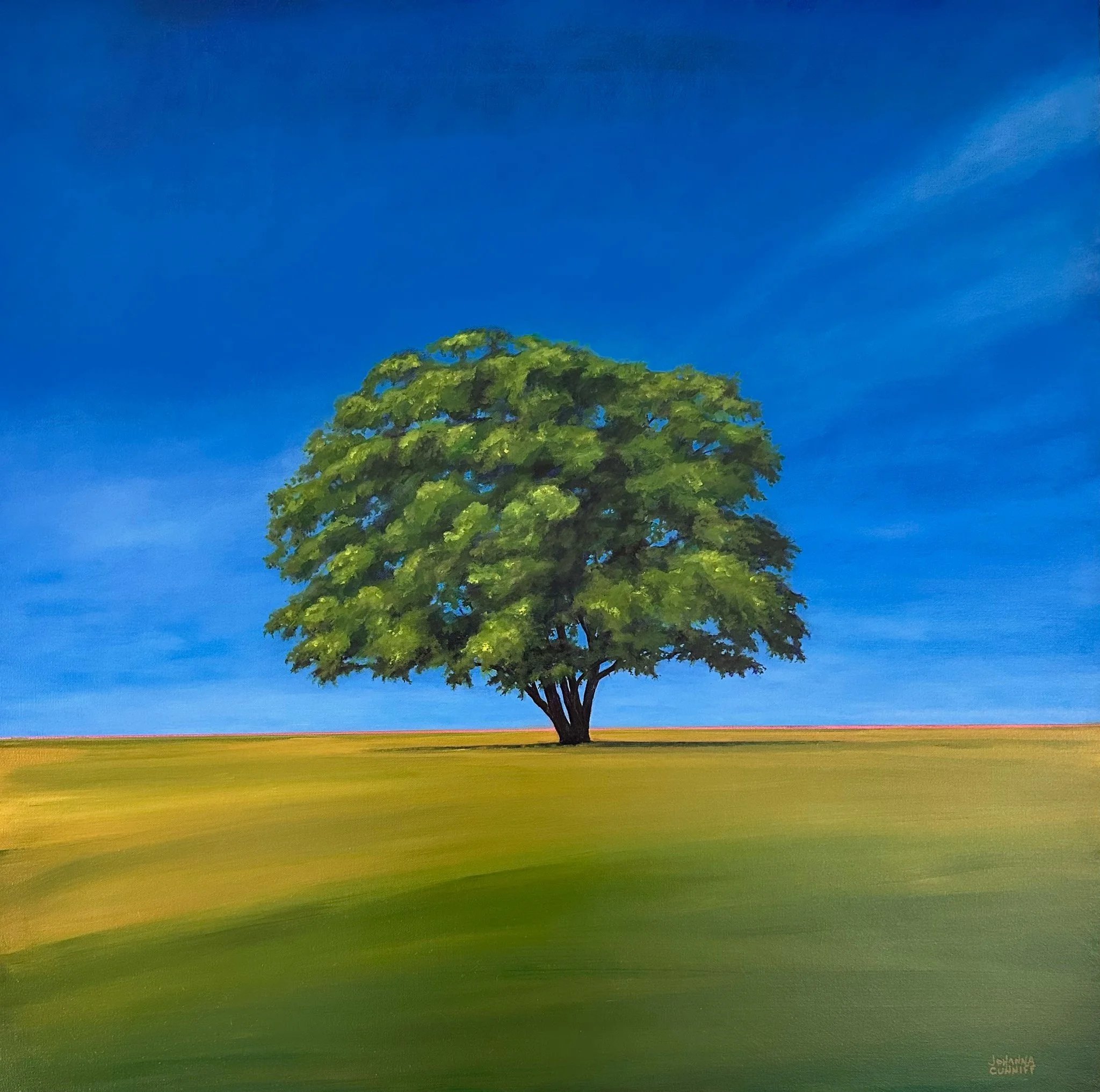 "Canopy" (36"x36") on Canvas
