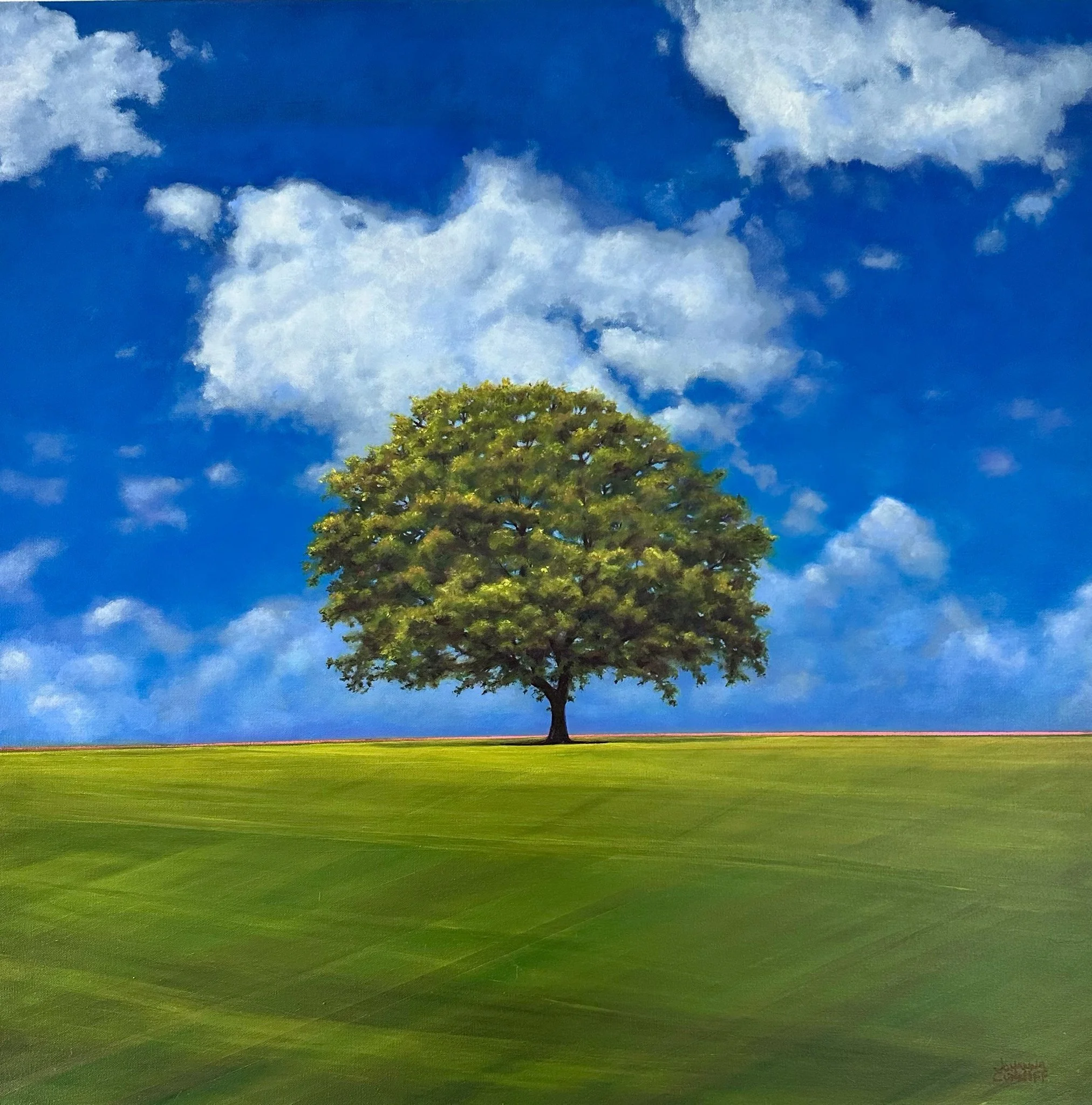 "Just Mowed" (36"x36") on Canvas