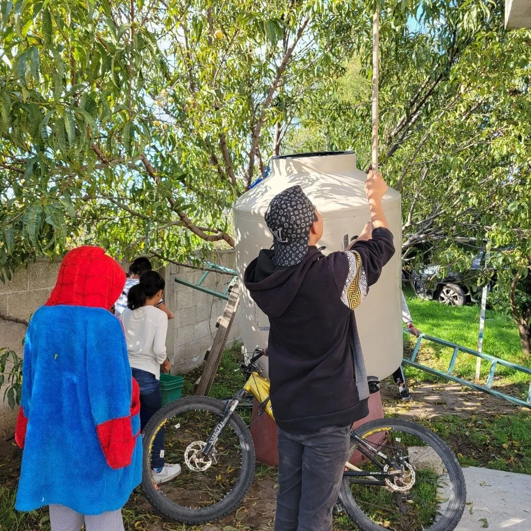 Church kids collecting the last of our peaches