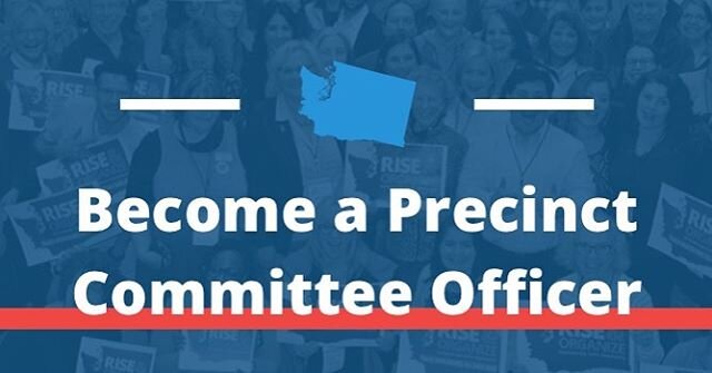 Are you tired of having your voice not being heard? 
Today at 4pm is the deadline to file for Precinct Committee Officer (PCO). PCOs are one of the most important and essential leadership positions in our party.  Your voice will:
&bull;Decide party l