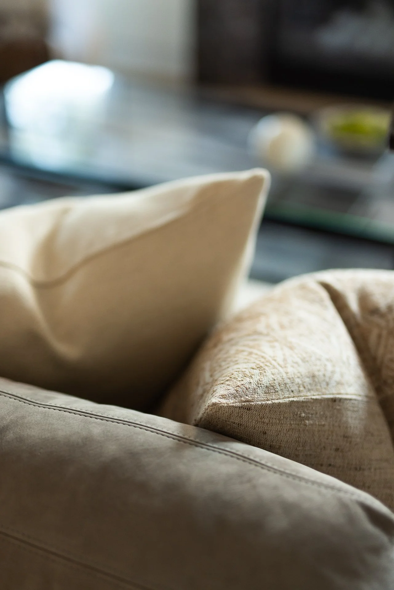 Living Room Pillows.jpg