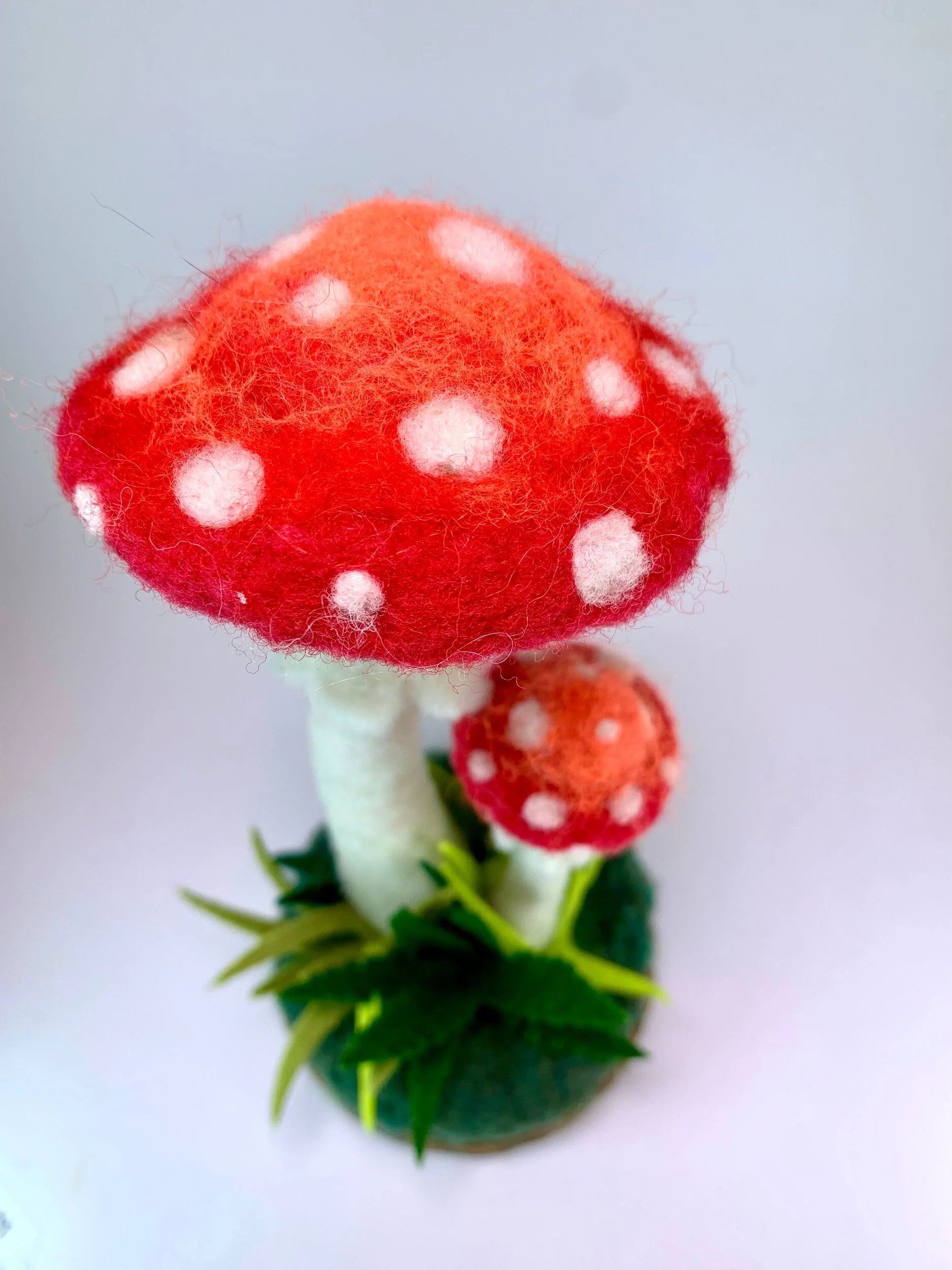 E1171F7B-5273-41A5-A34B-55B48E25F239