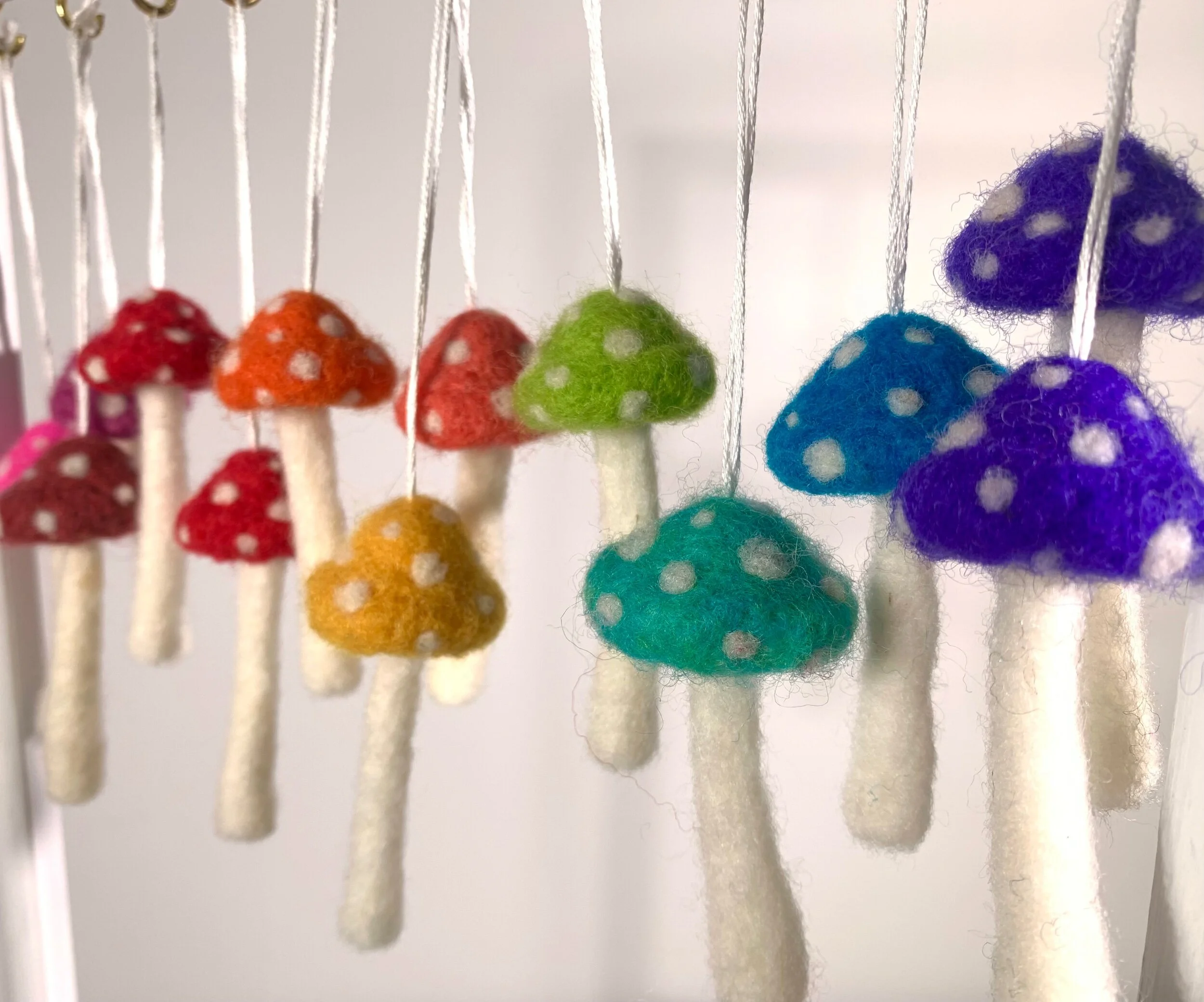 1E92F1FE-0234-4E2F-9DB4-419785FCA1E5