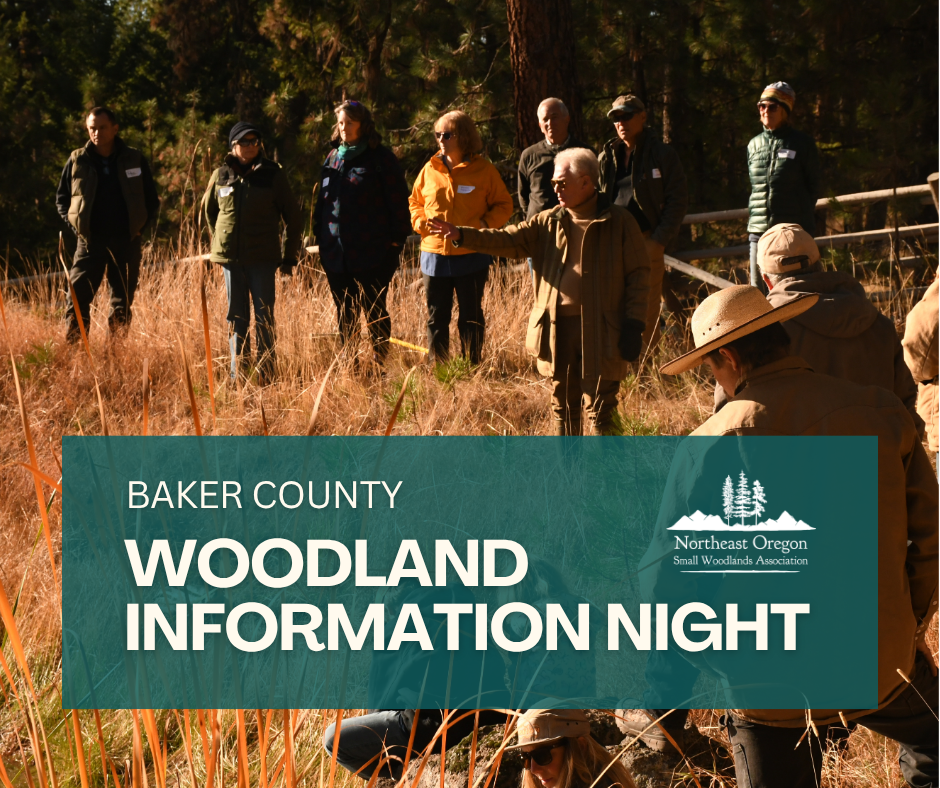 Woodland Information Night - Baker City
