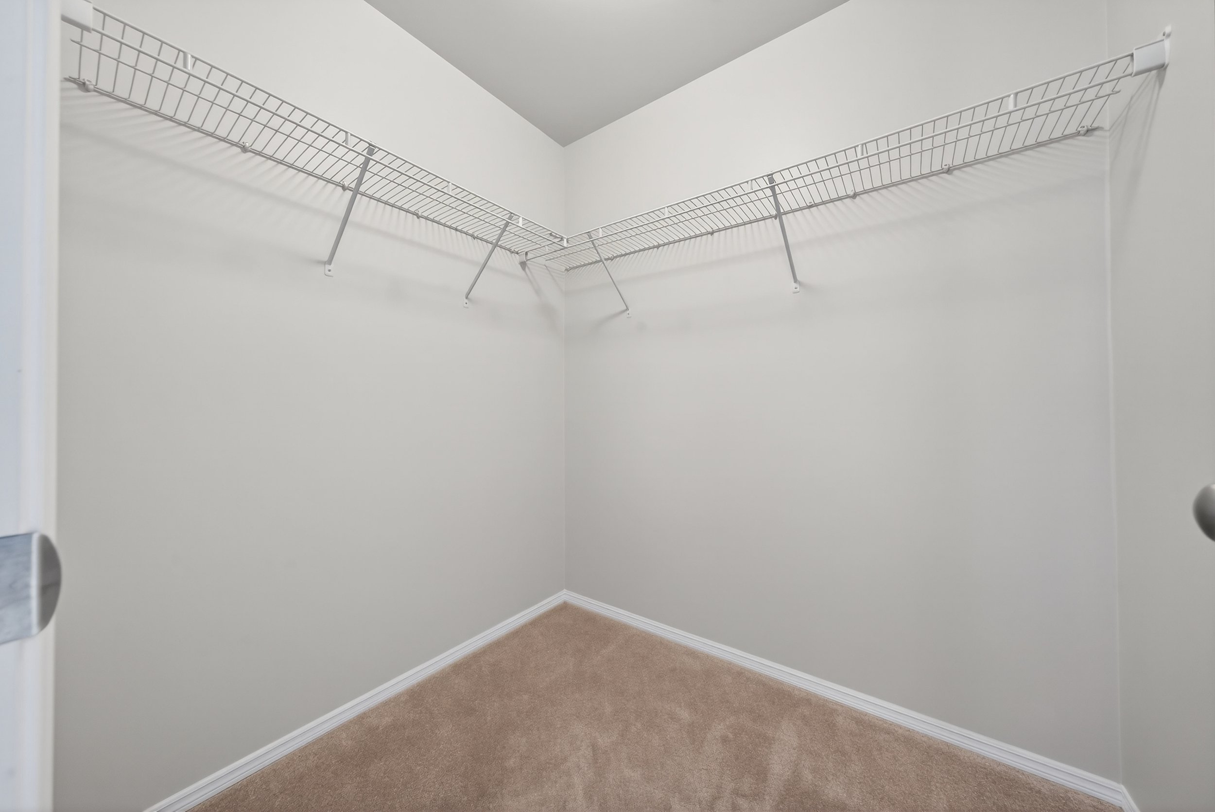 jpegs (72 of 89).jpg