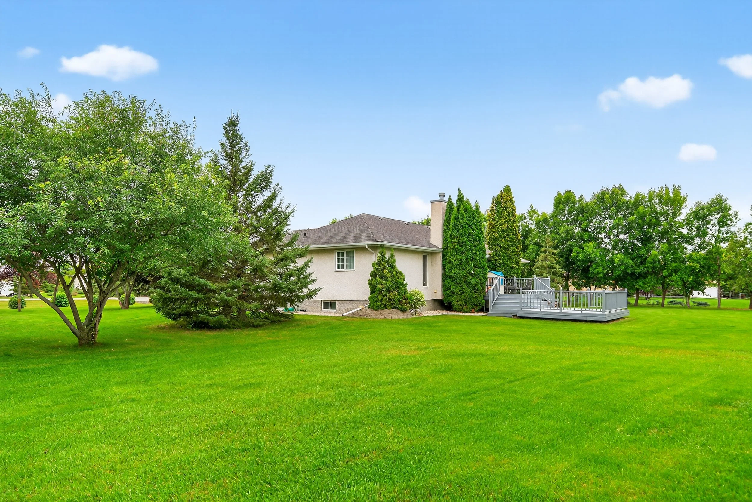 111 Gusnowsky (1).jpg