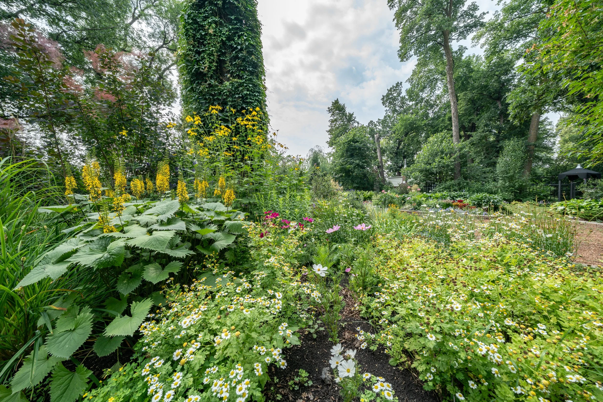 415 Kingston Cres (25 of 63).jpg