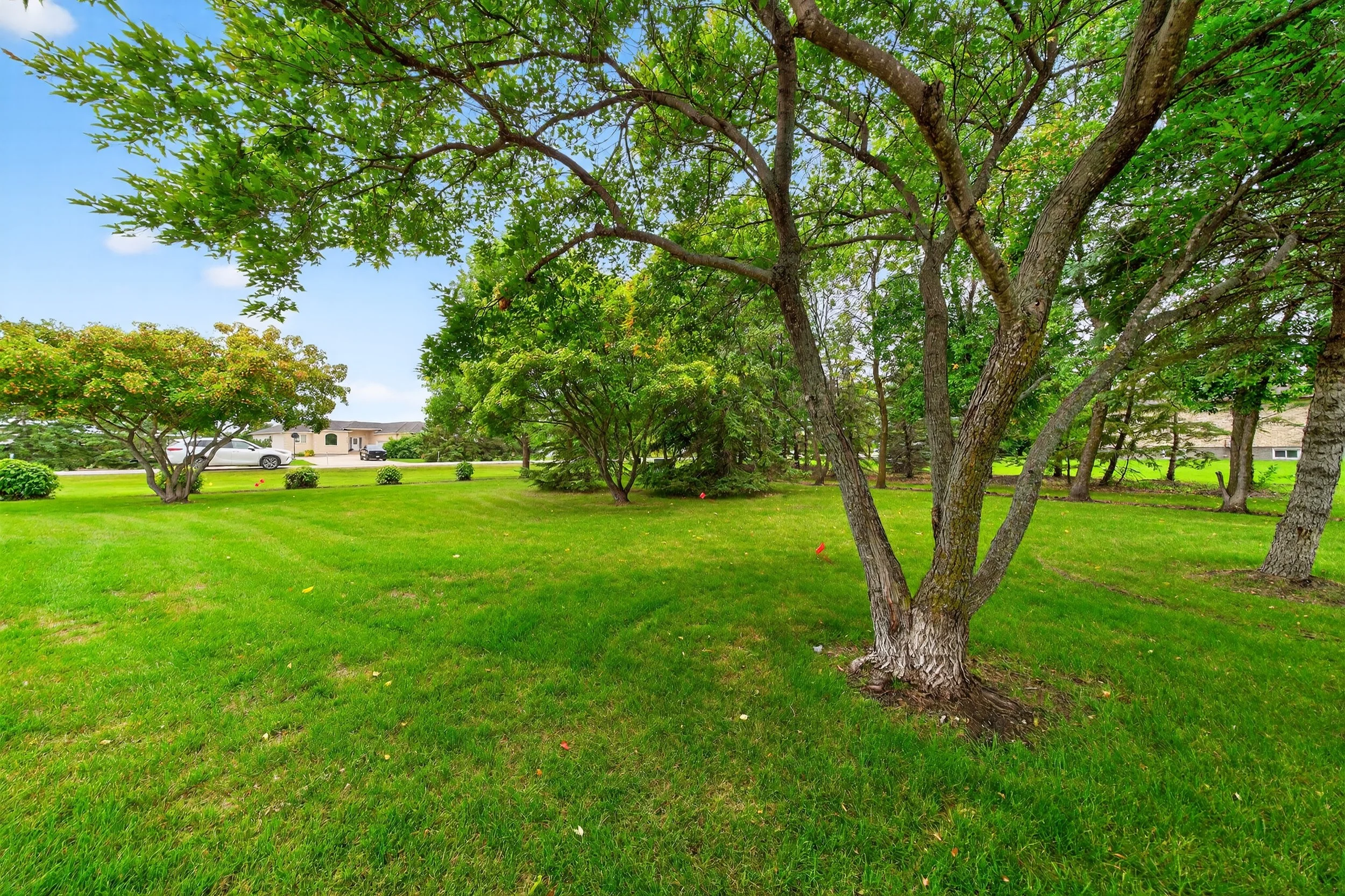 111 Gusnowsky extra (10).jpg