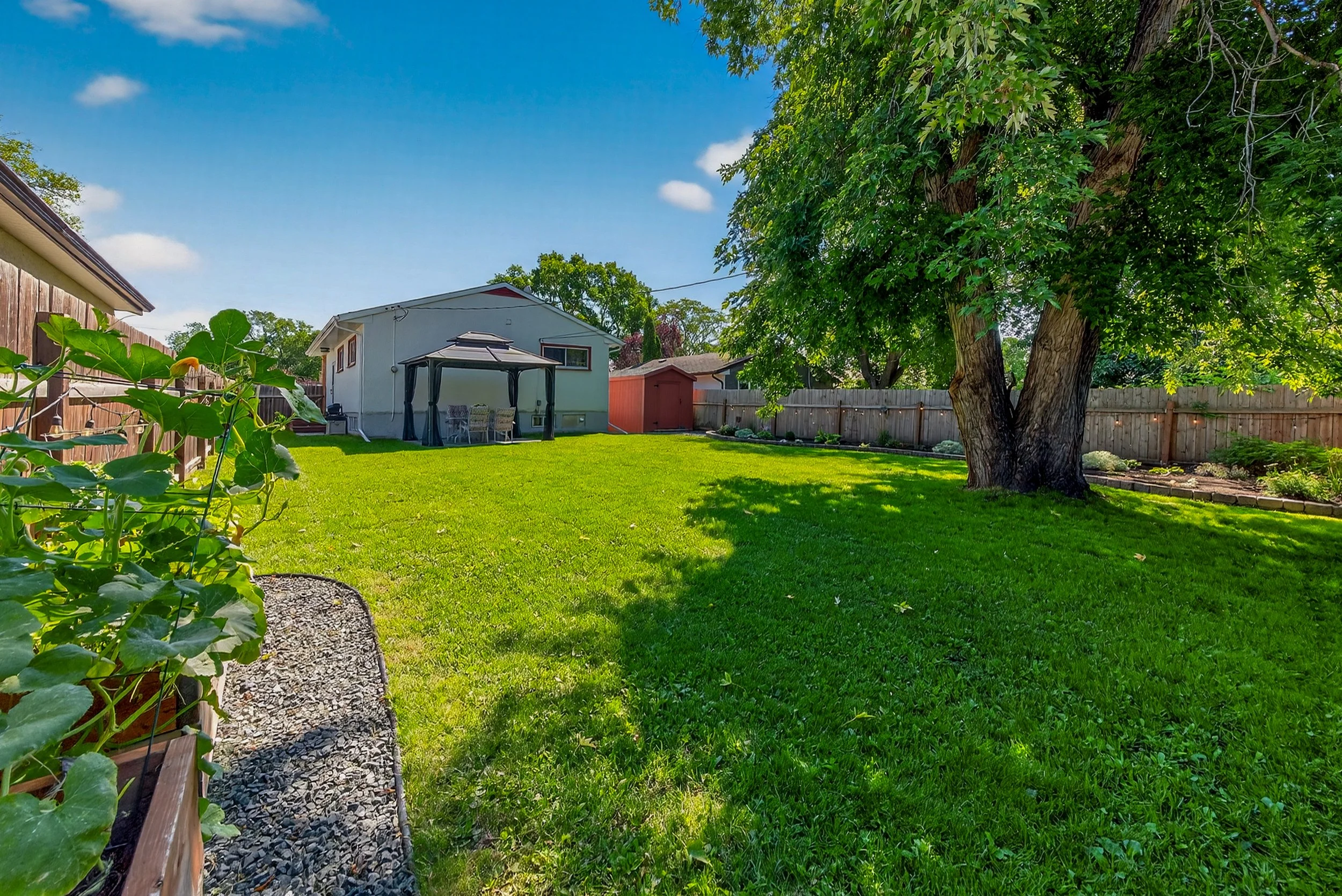 348 Olive Street (6).jpg