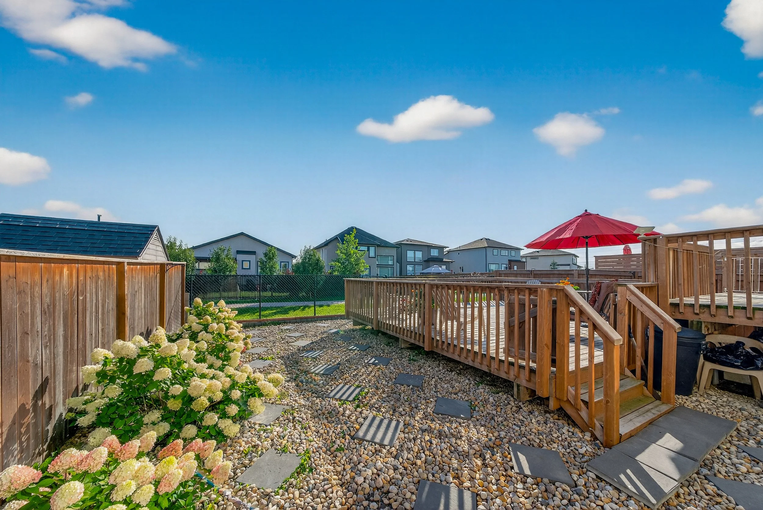 jpegs (15 of 89).jpg