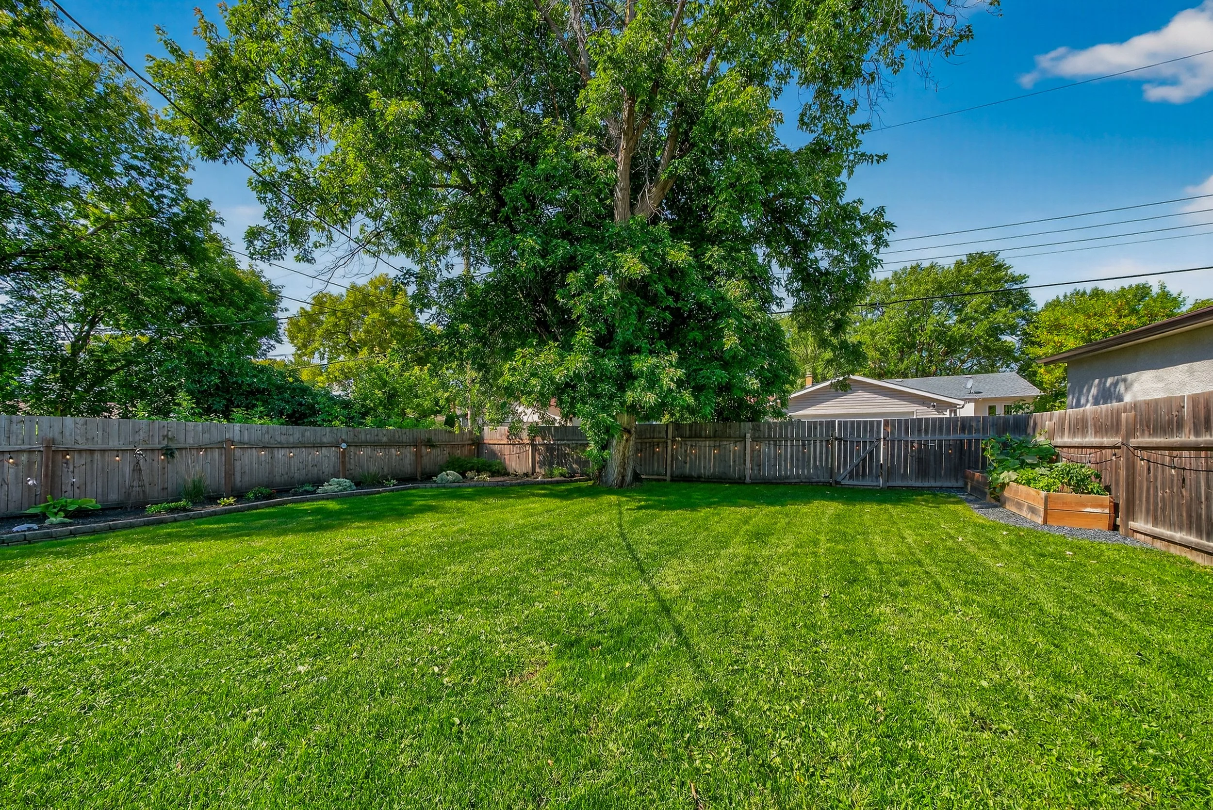 348 Olive Street (1).jpg