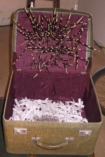porcupinesuitcasehomepagemaking.jpg