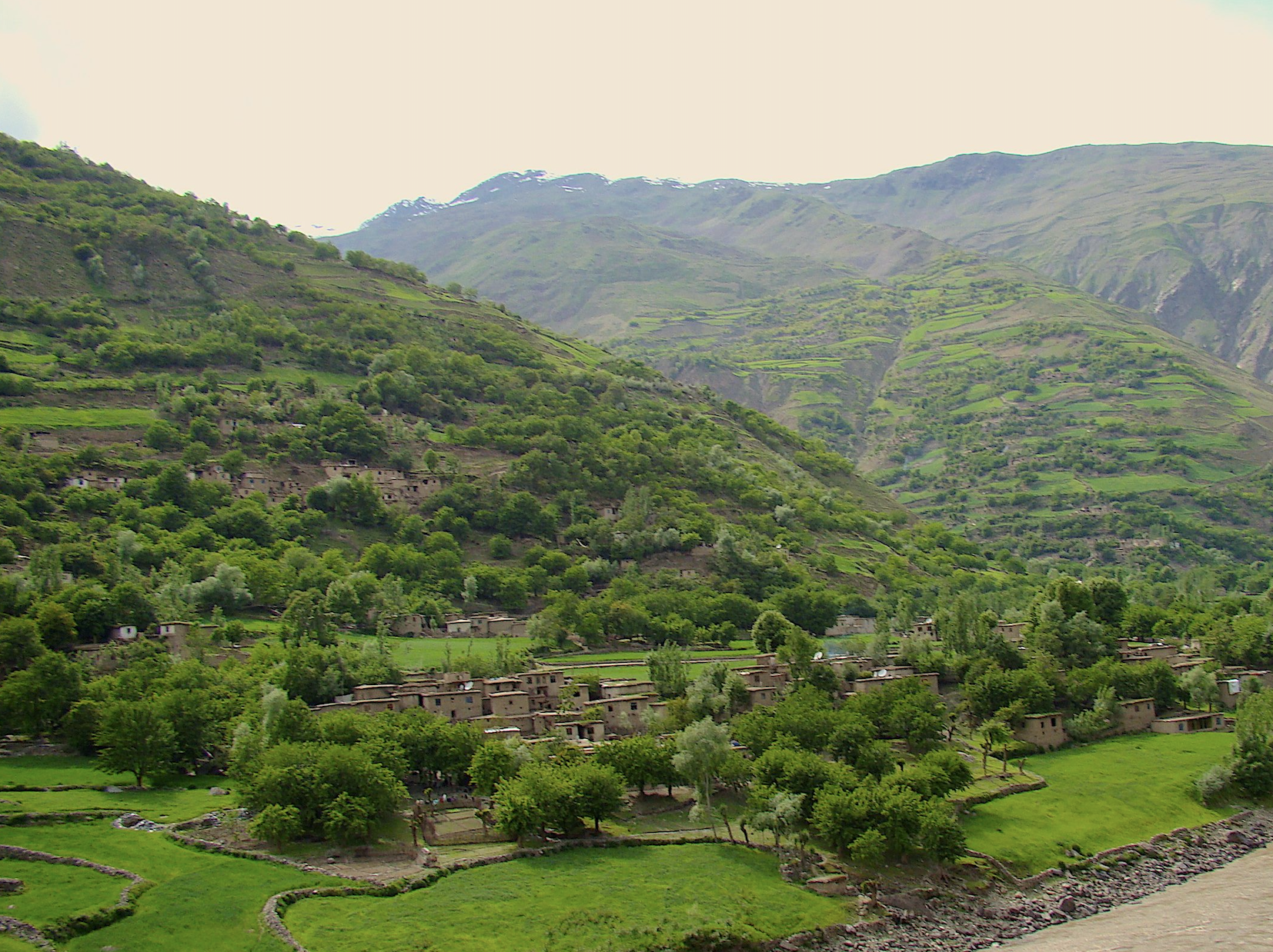 Screen Shot 2020-08-27 at 12.05.26 AM.png