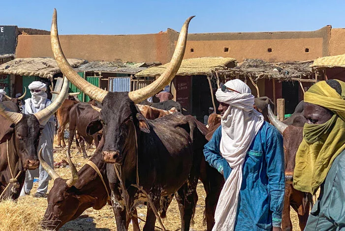 Niger'2021-Ihab-(People)-(25)_v1-1_701x470.jpg