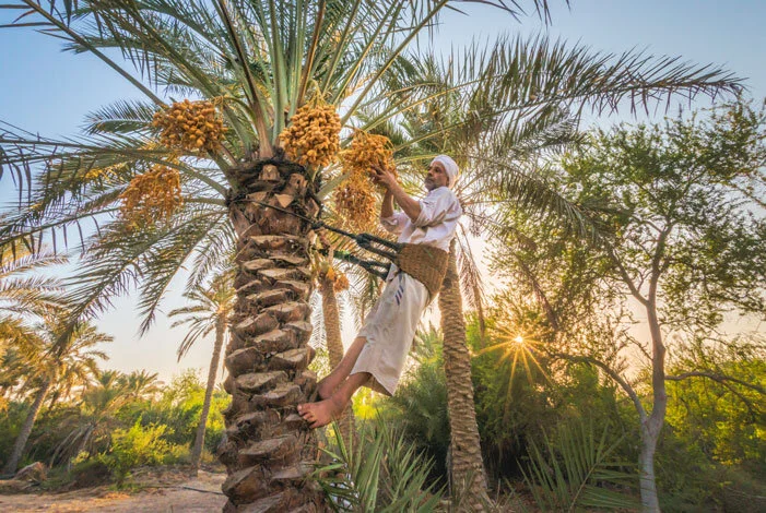 Bahrain-Eddie-(People)-(5)_701x470.jpg