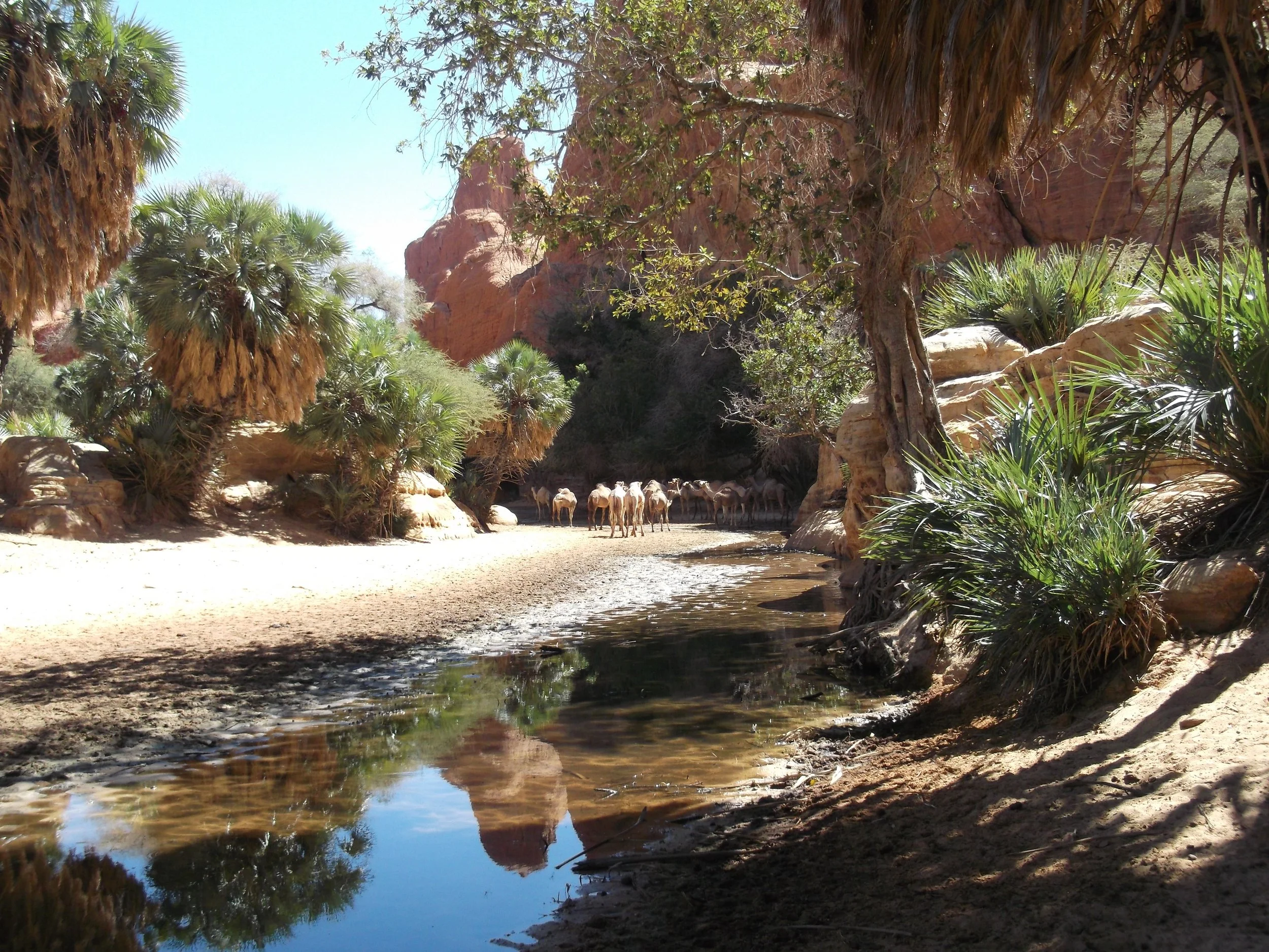 Ennedi'2022 - Adolfo (2).JPG