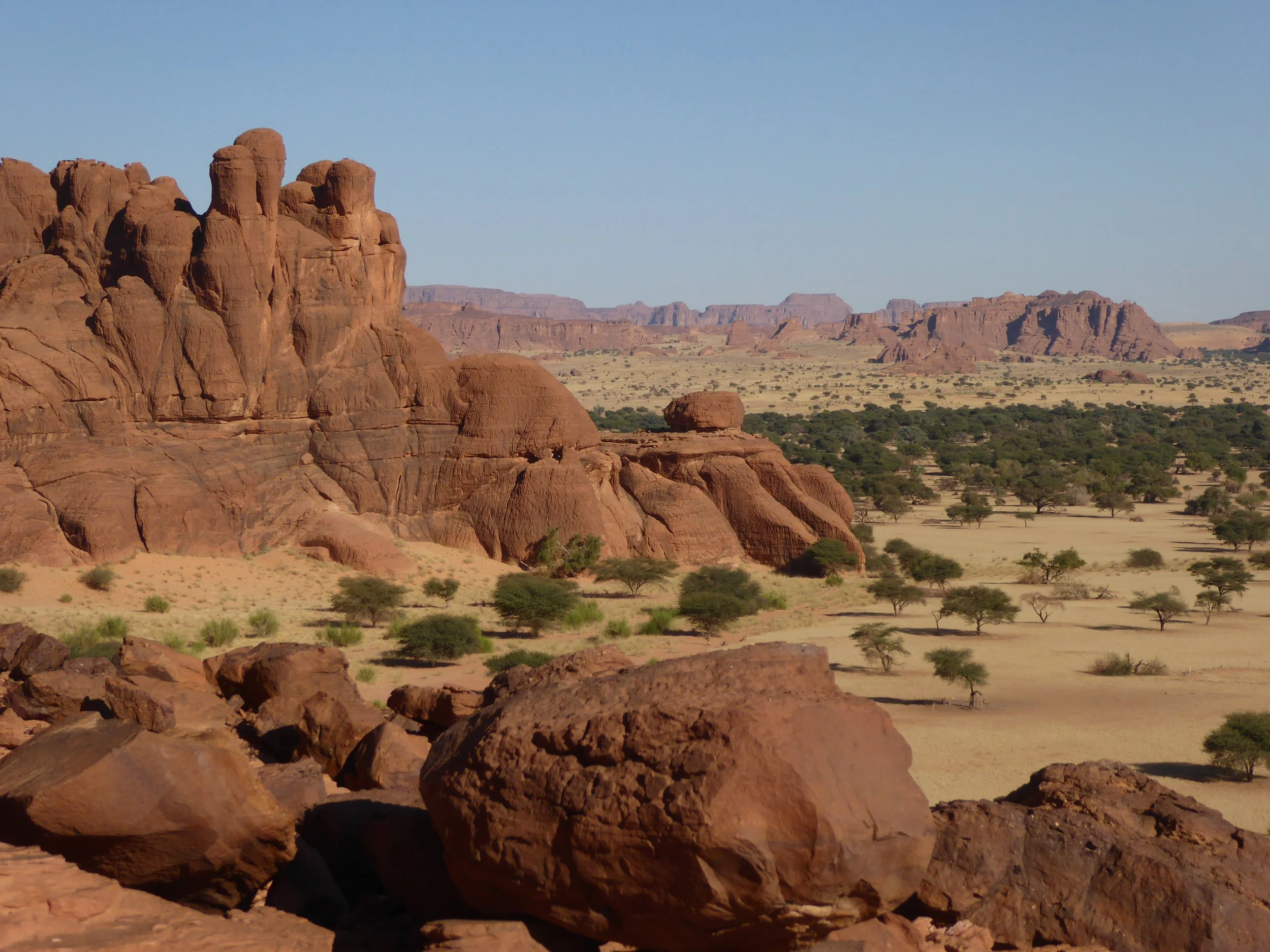 Ennedi'2022 - Adolfo (5).JPG