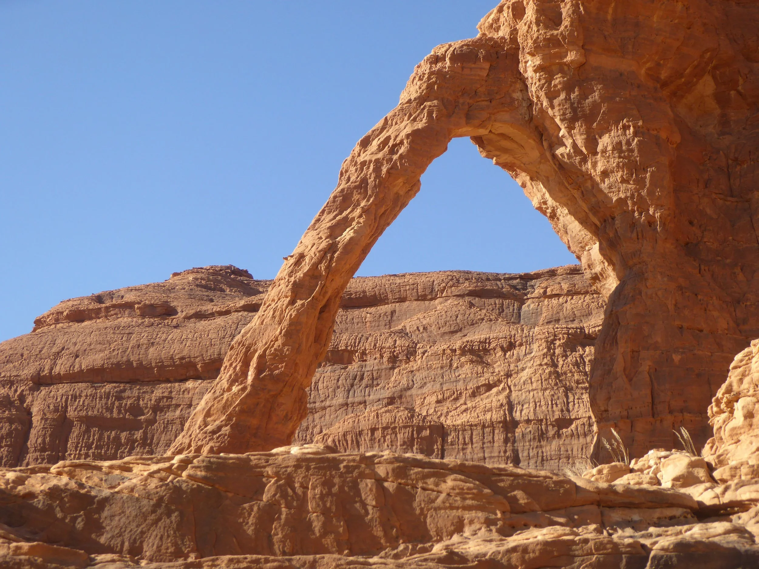 Ennedi'2022 - Adolfo (6).JPG