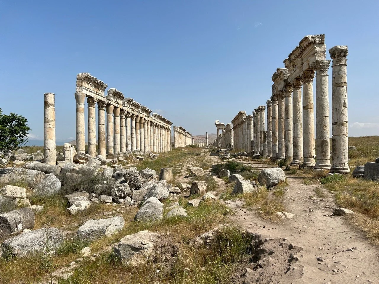 Syria'2023 - T Michael (019).jpg