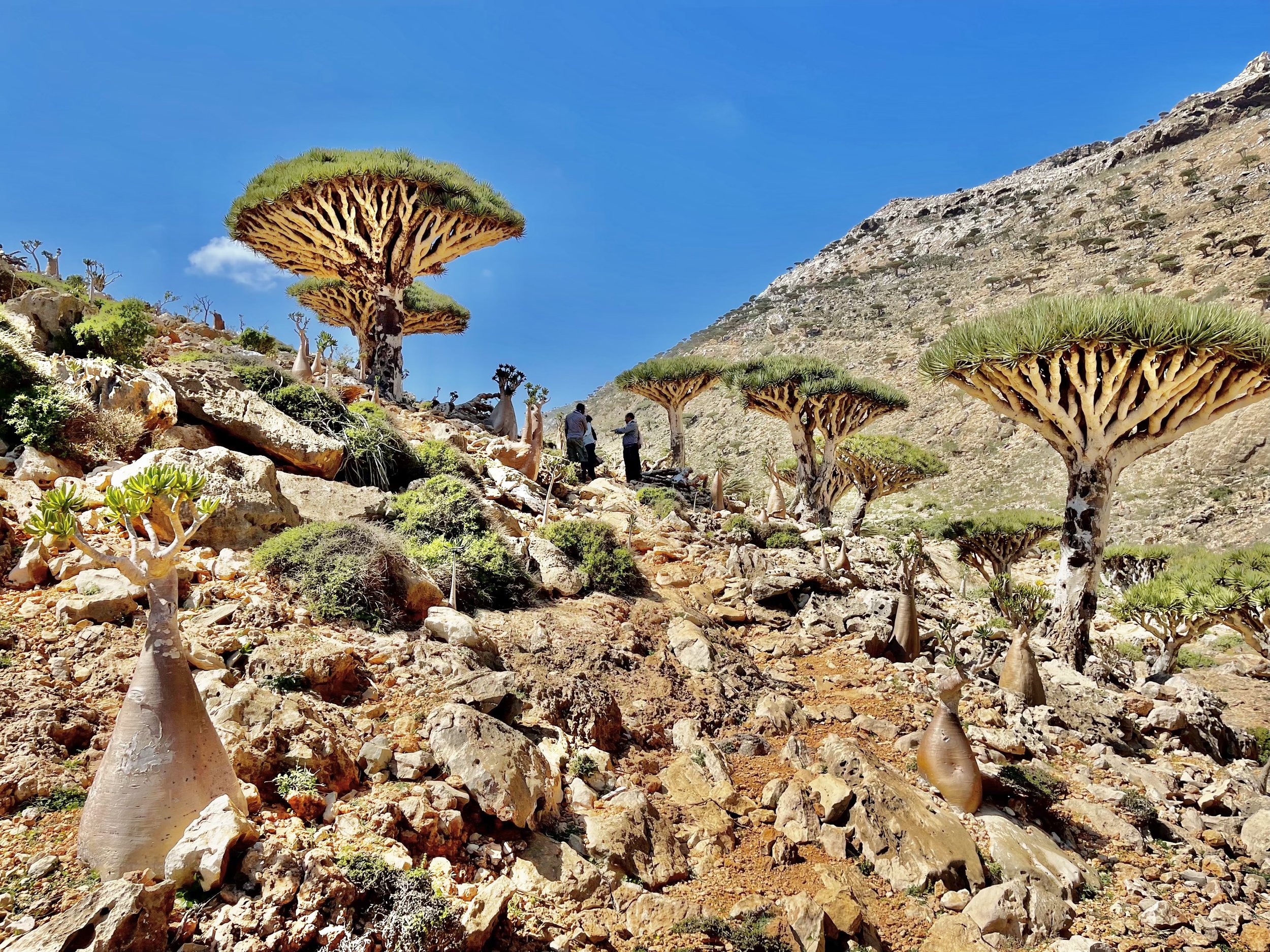 Socotra'2021 - Behar (People) (051).jpg