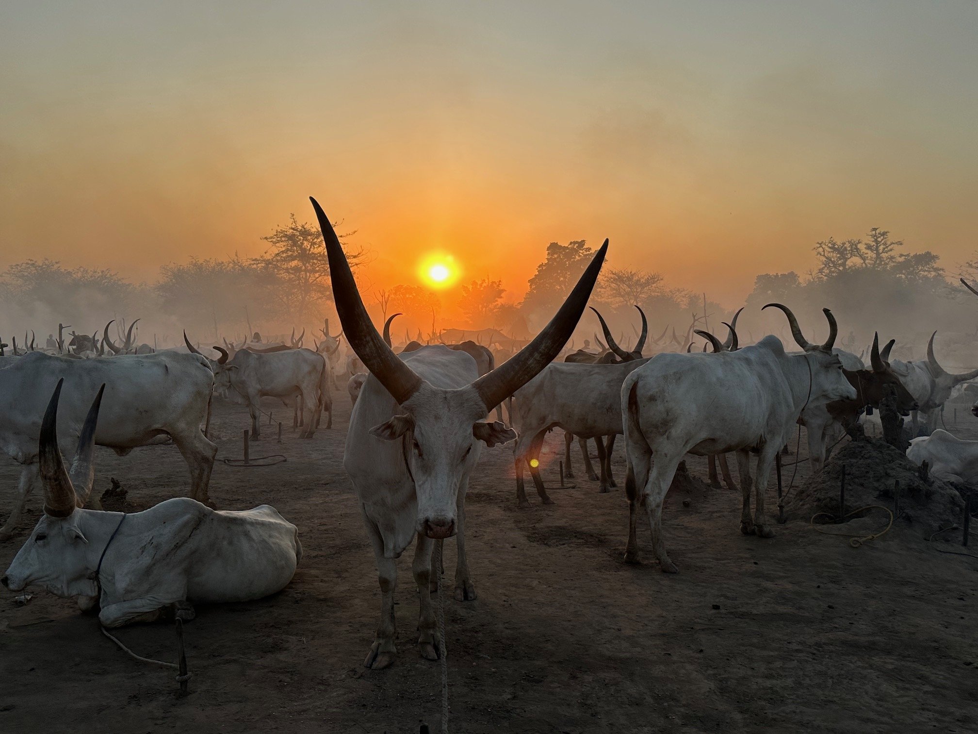 S. Sudan'2023 - J Chovan (001).jpeg