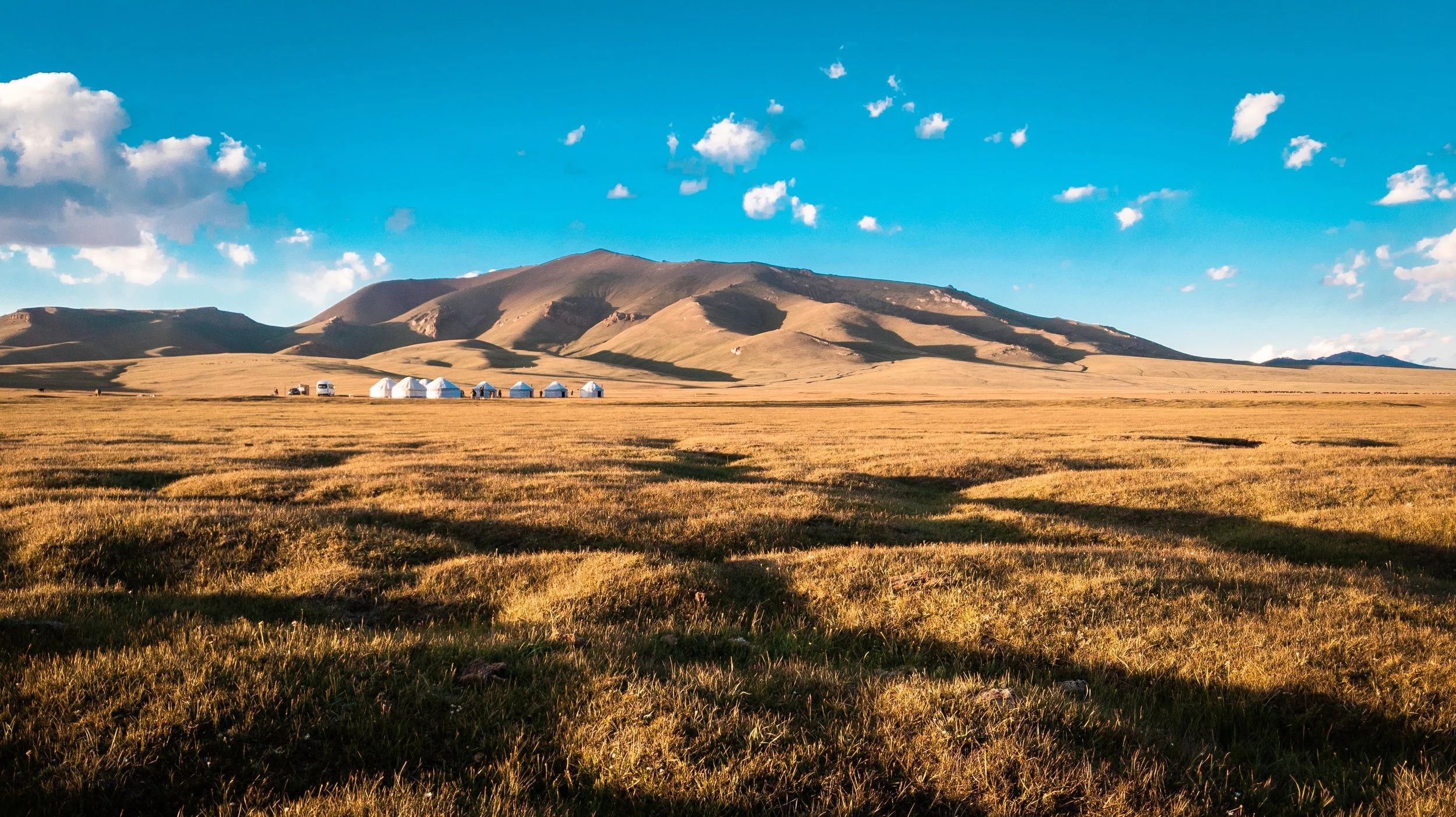 C Asia - Unsplash (001).jpg