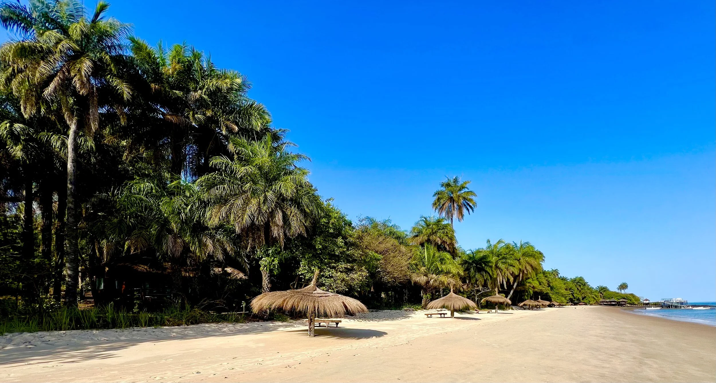 Liberia'2024 - Rick Vogel (002).jpeg