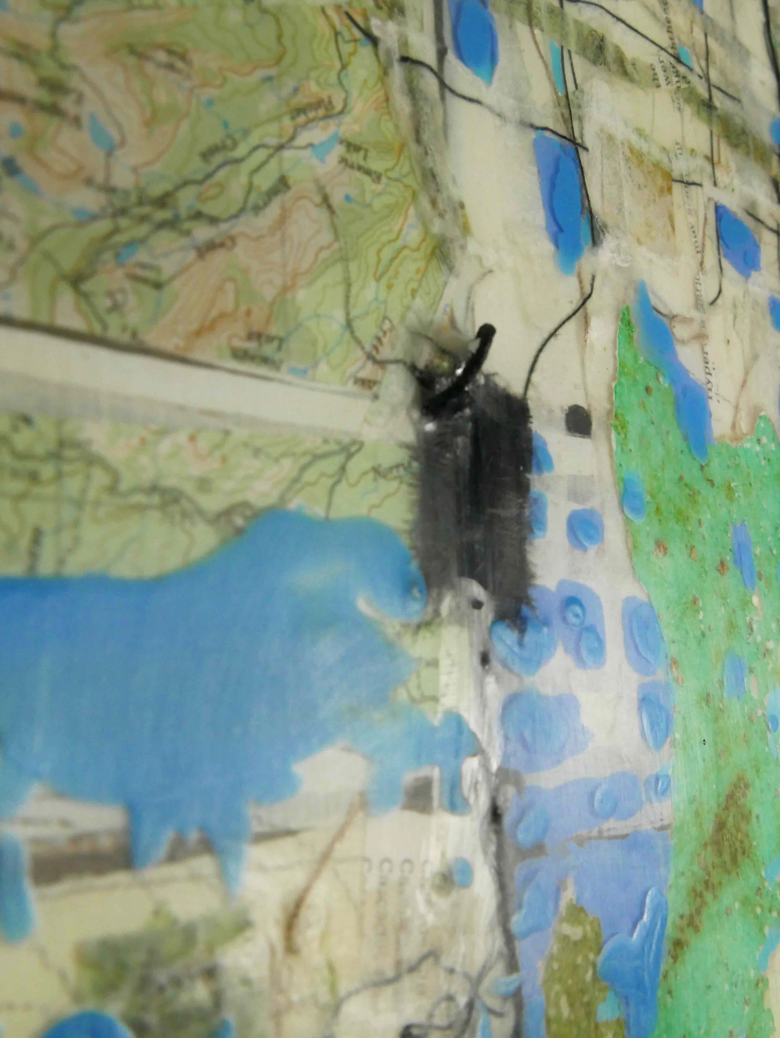 Fall Into Place_detail2_Battani_SM.jpeg