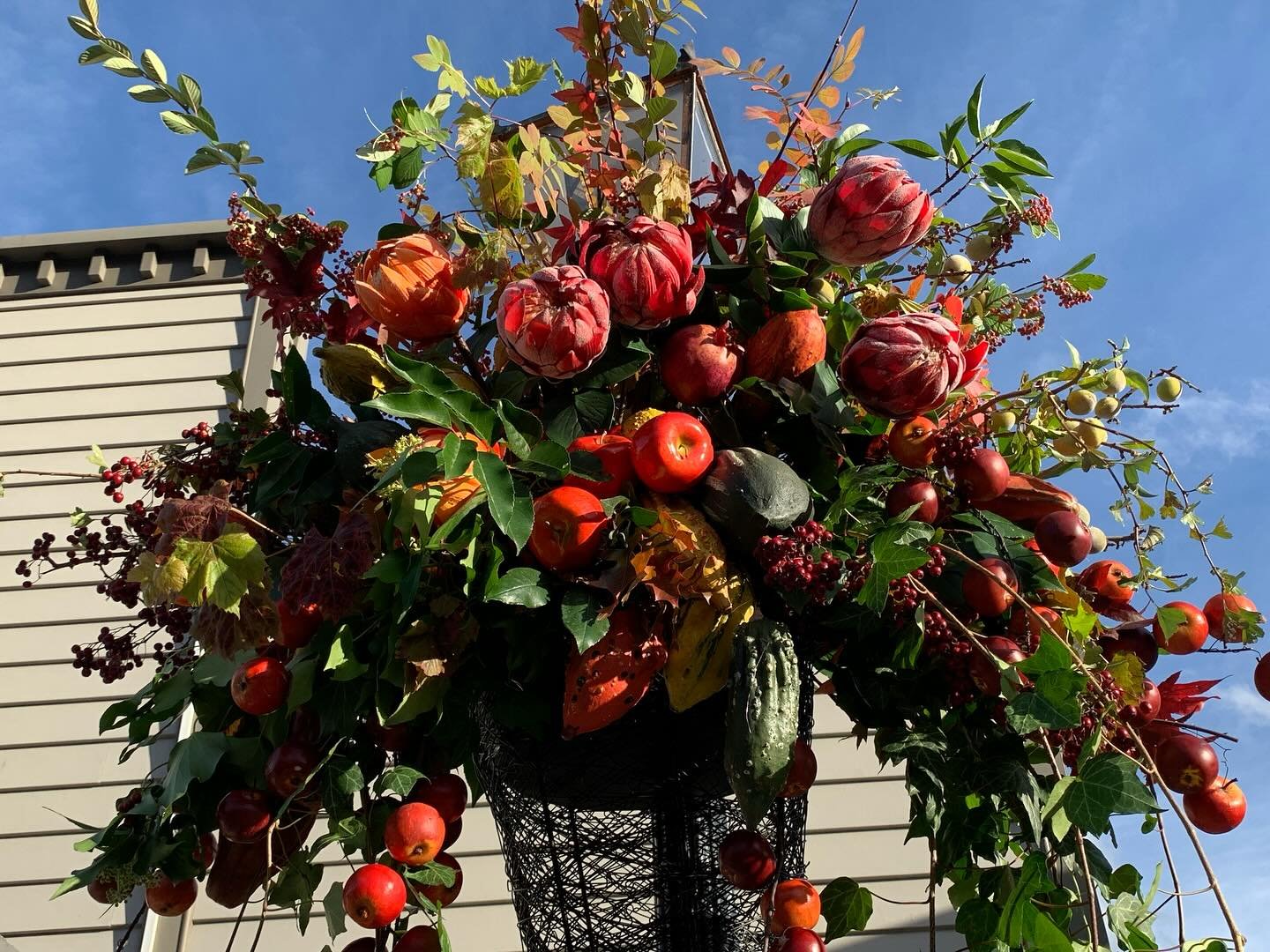 Arrowtown Autumn Festival Flowers installed. 🌼🌷🌺🌻