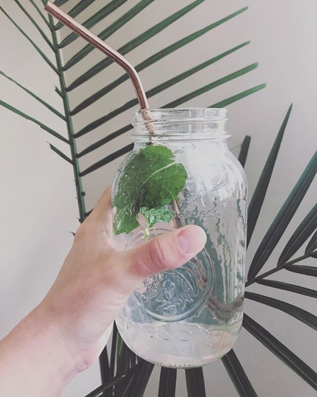 It&rsquo;s hot out there today!! ☀️☀️ Make sure you&rsquo;re hydrating! 💧

I like to add lemon juice and fresh peppermint to my water (fresh from the garden, yay!) for the digestive support and cleansing effect on the liver!

Cheers!

#holistichealt