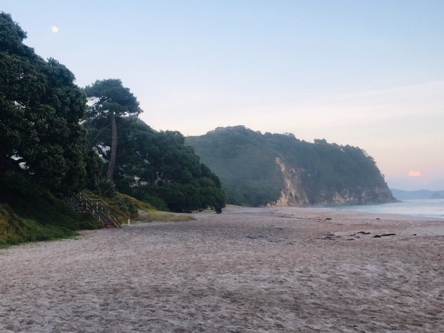 Cathedral+Cove+swim+-+beach.jpg