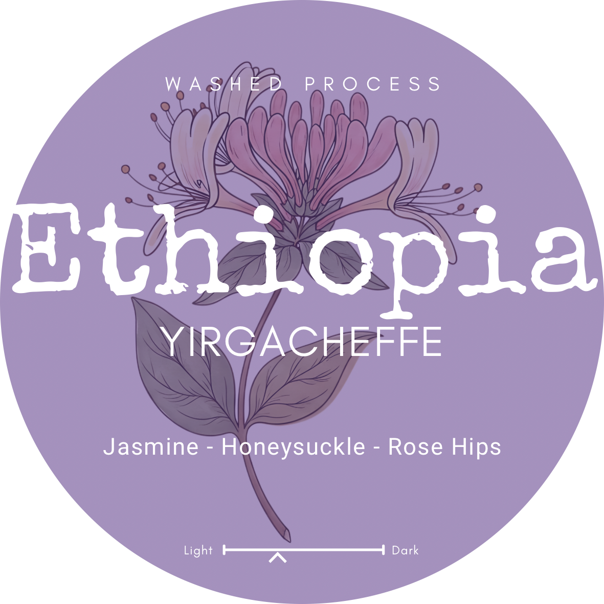 Circle Labels - 1.png