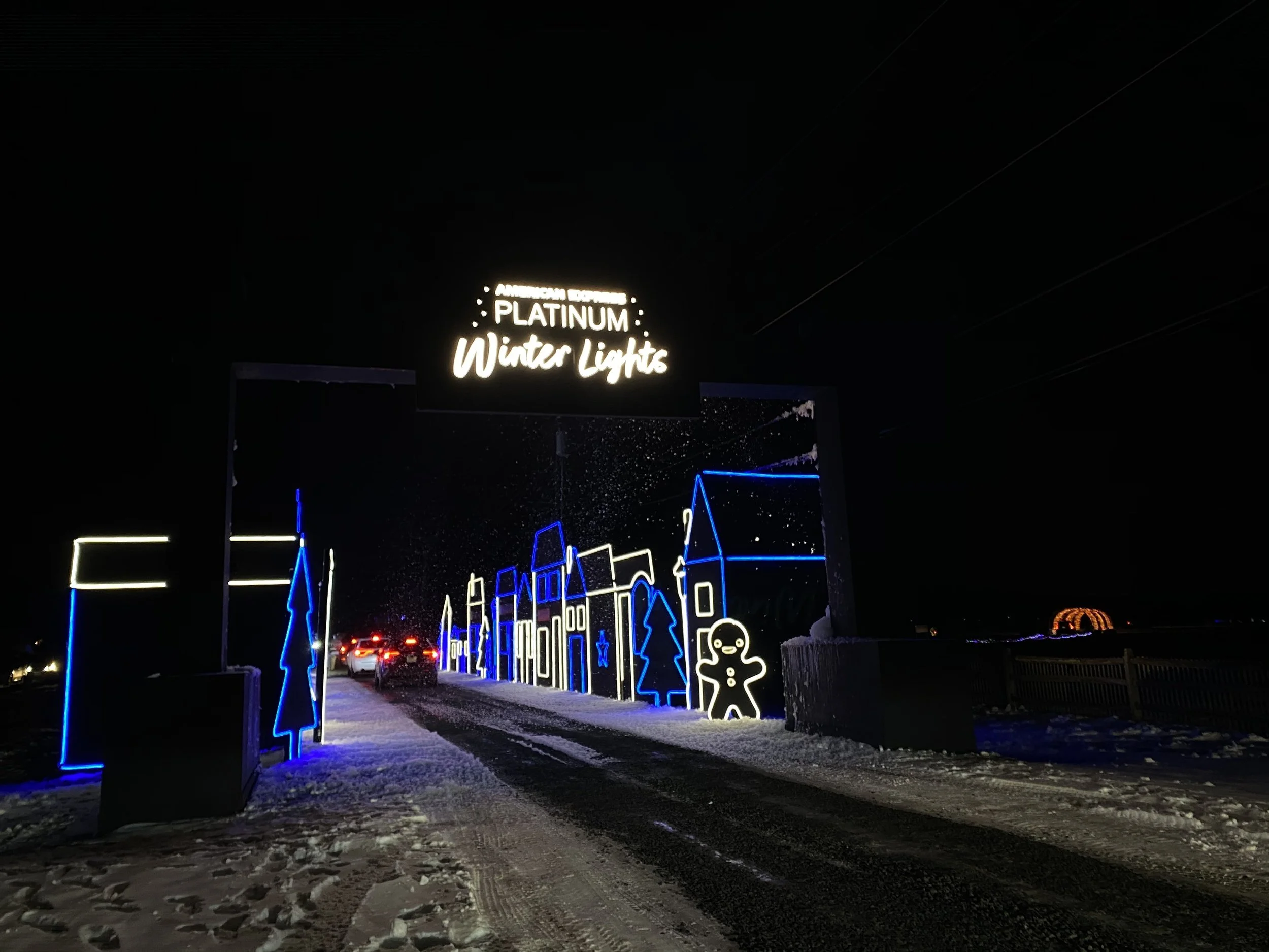 Amex Winter Lights Experience